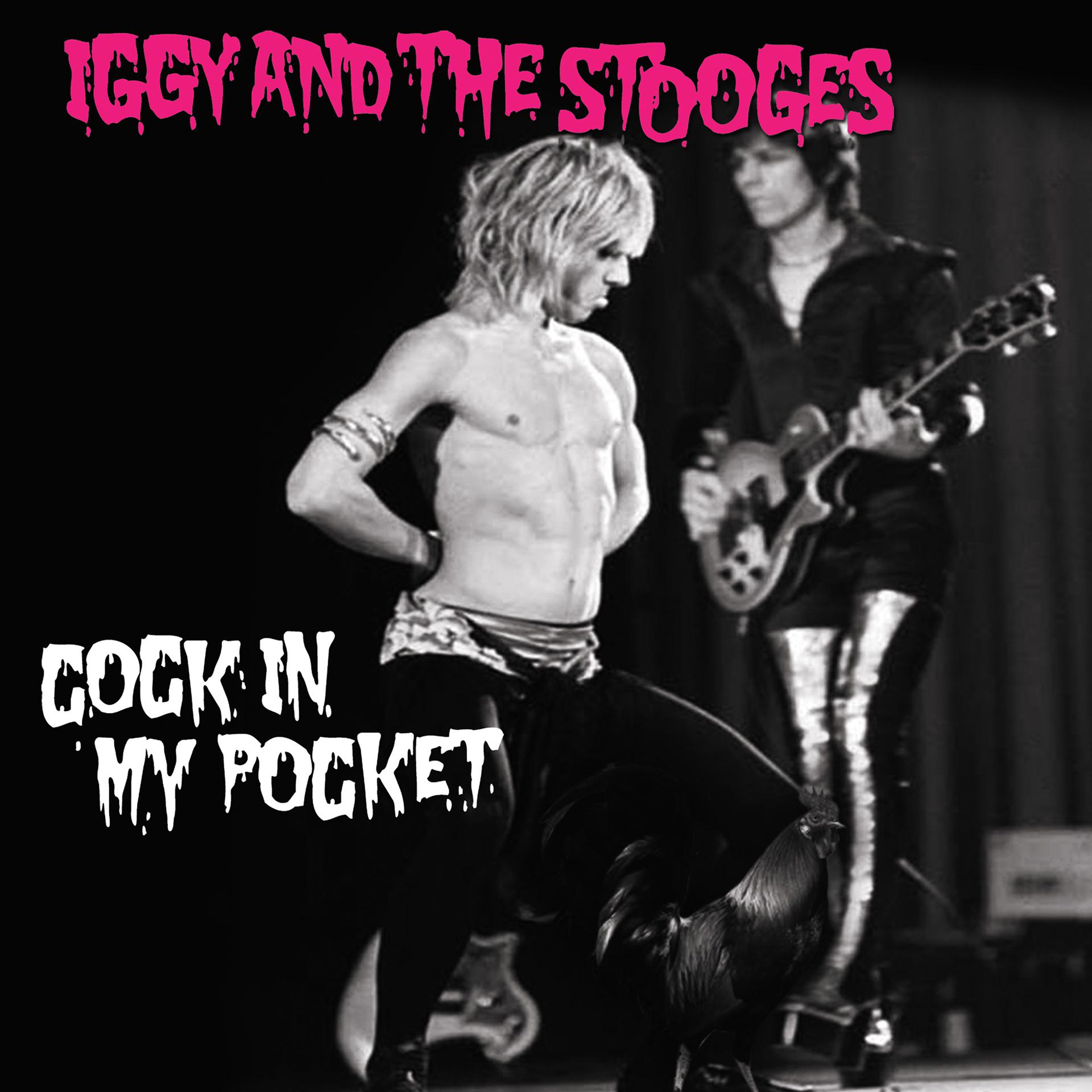 Постер альбома Cock in My Pocket (2022 Mix)