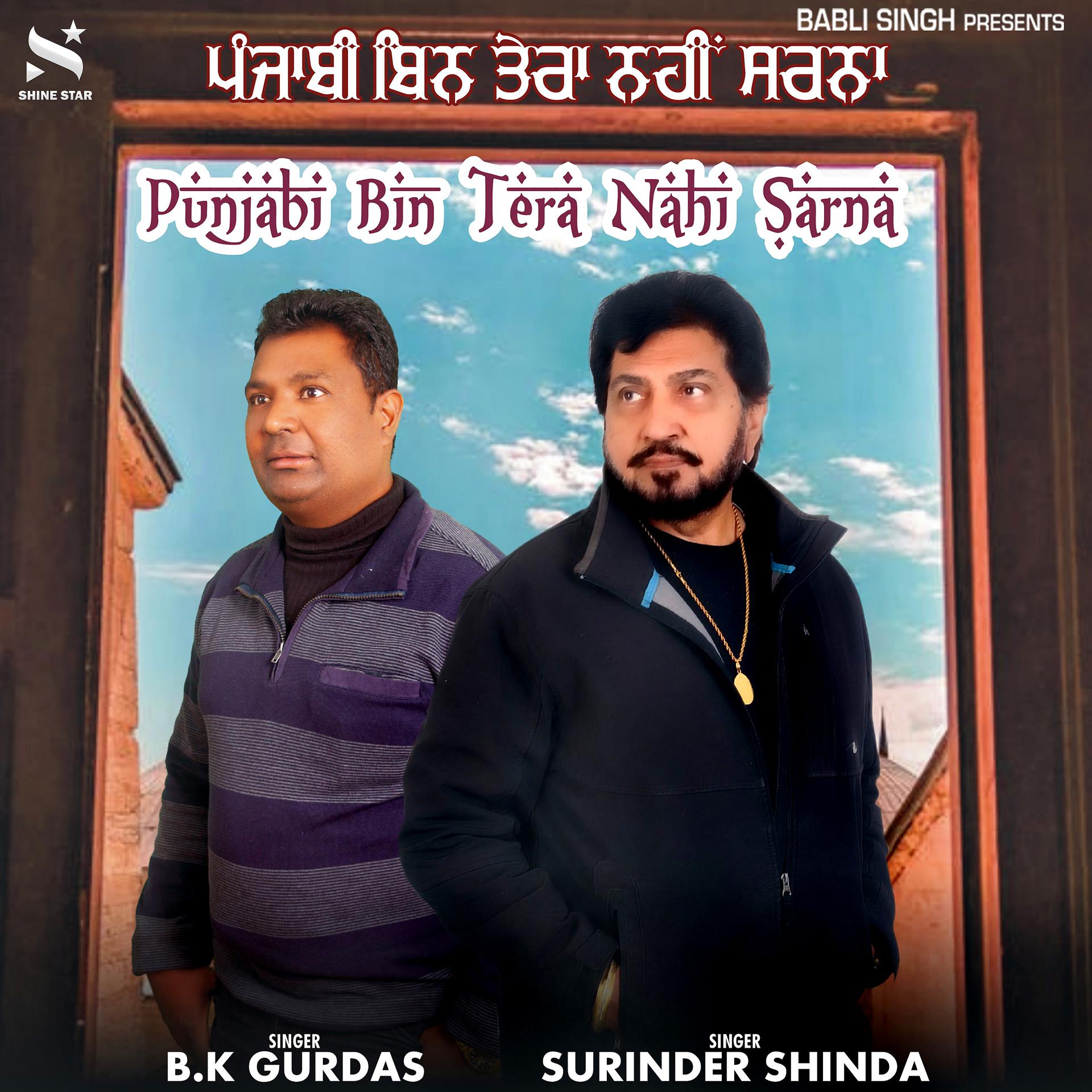 Постер альбома Punjabi Bin Tera Nahi Sarna