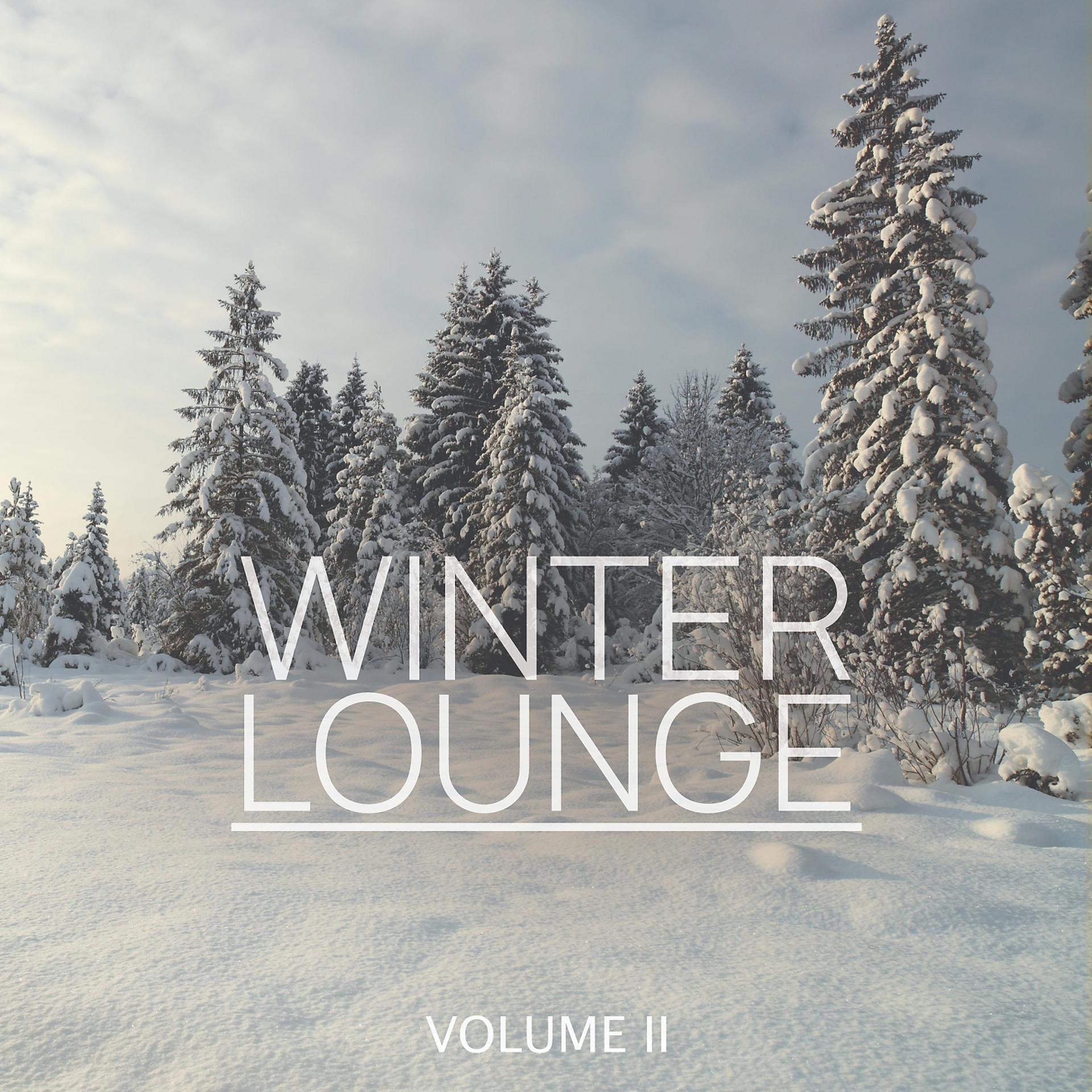 Постер альбома Winter Lounge, Vol. 2