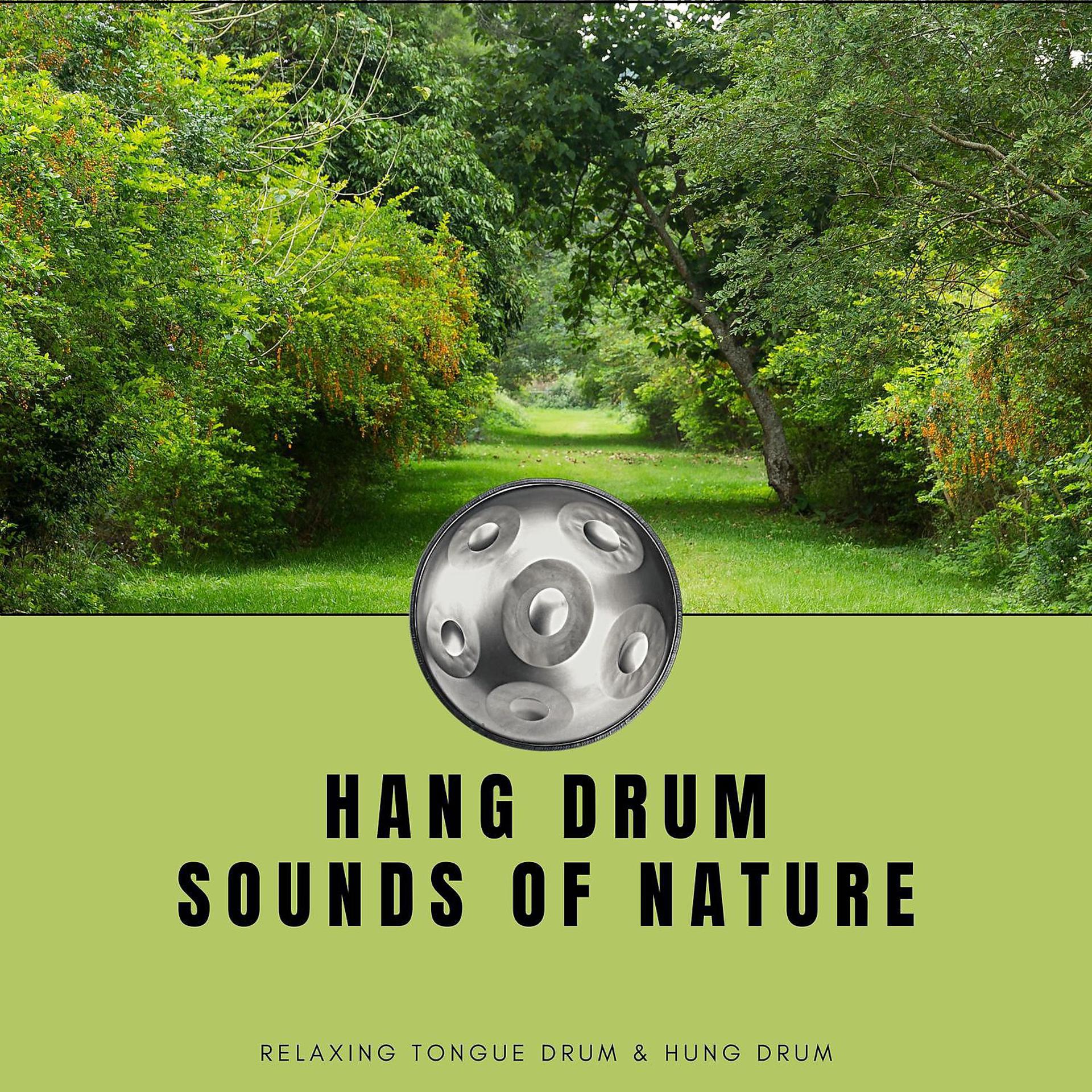 Постер альбома Hang Drum Sounds of Nature