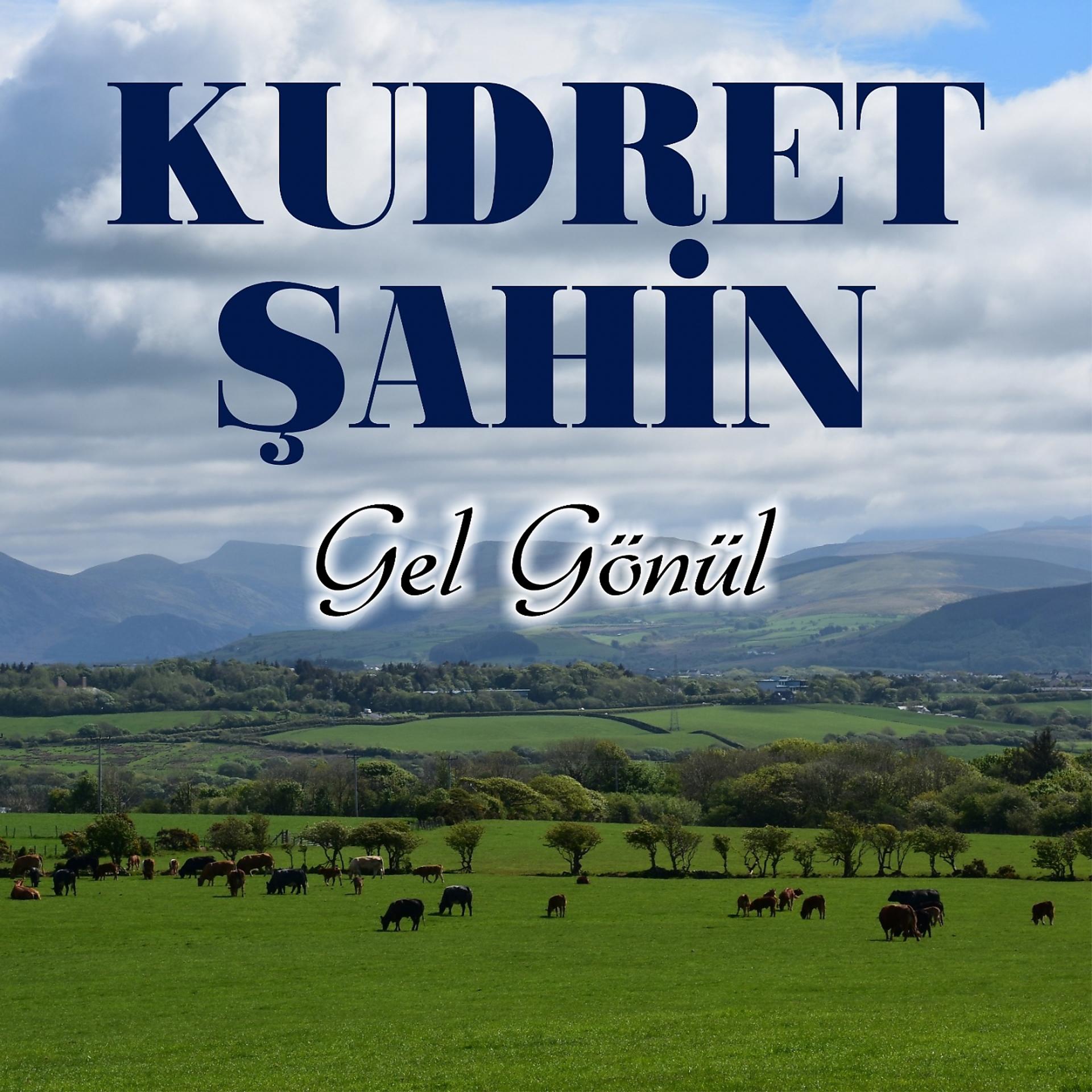 Постер альбома Gel Gönül