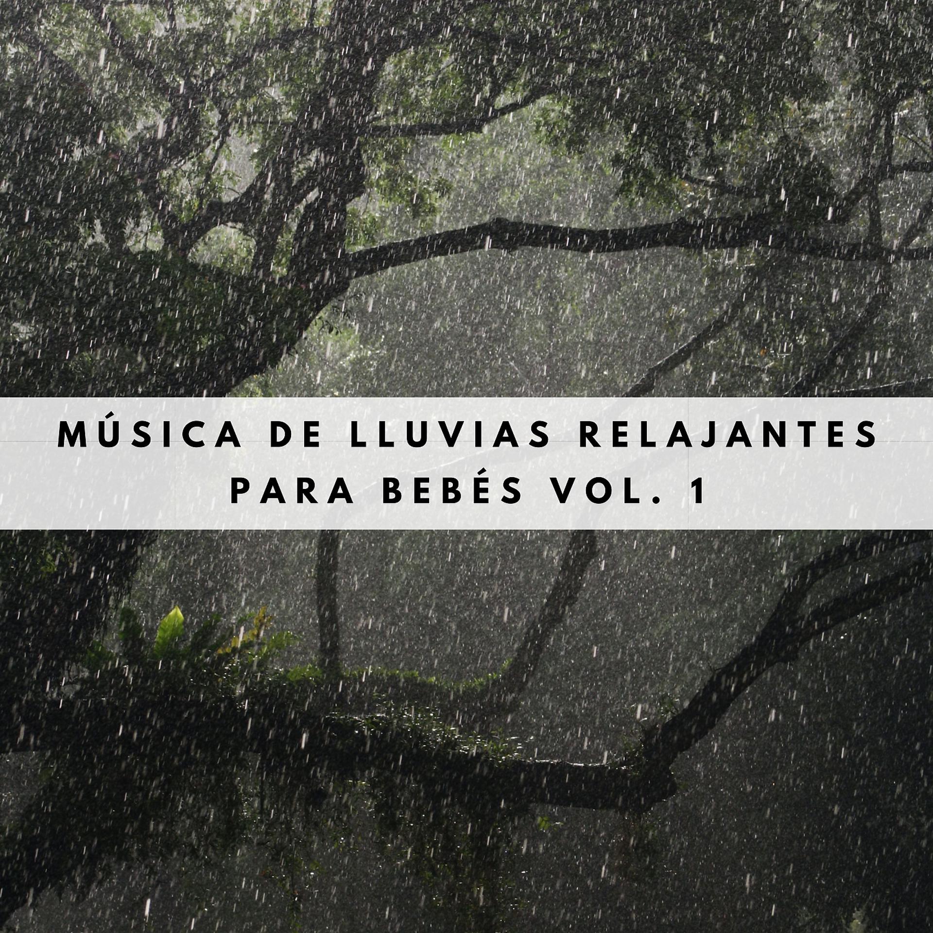 Постер альбома Música De Lluvias Relajantes Para Bebés Vol. 1