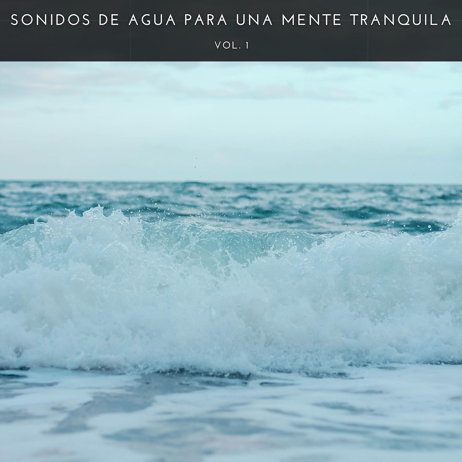 Постер альбома Sonidos De Agua Para Una Mente Tranquila Vol. 1