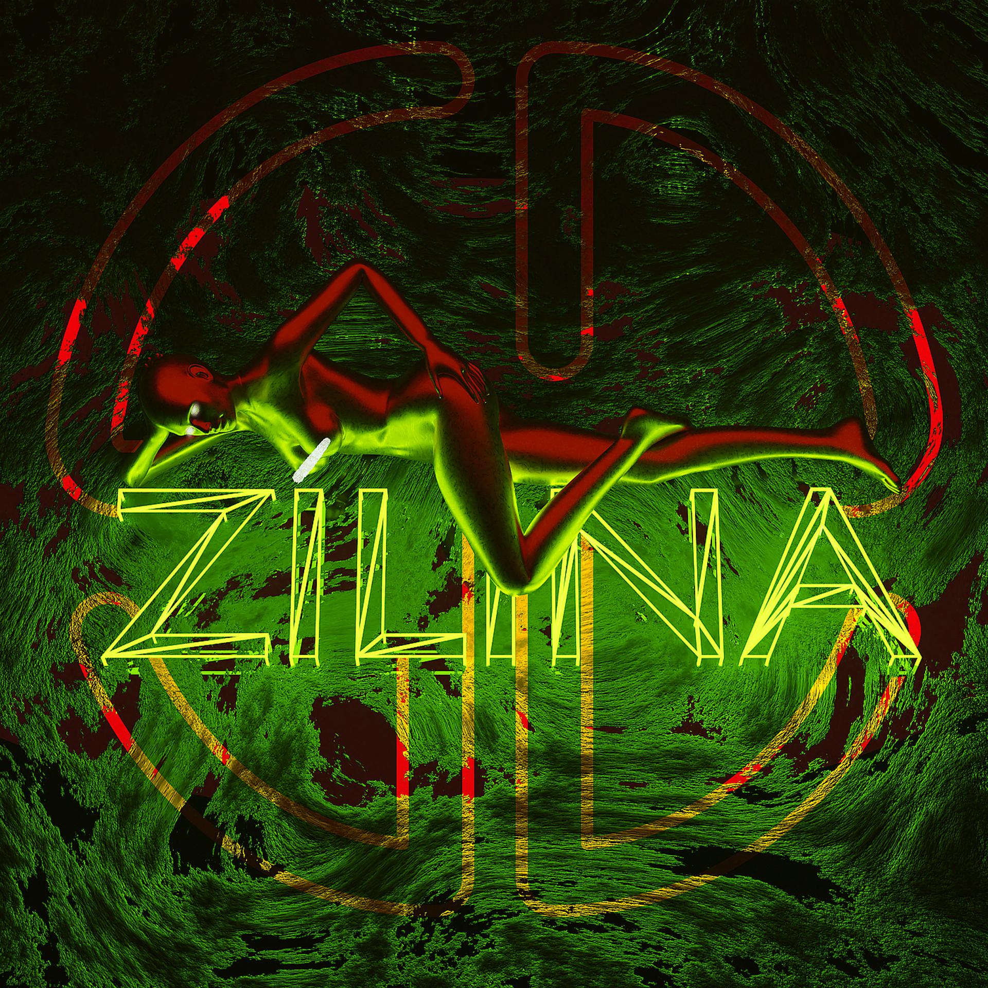 Постер альбома Zilina