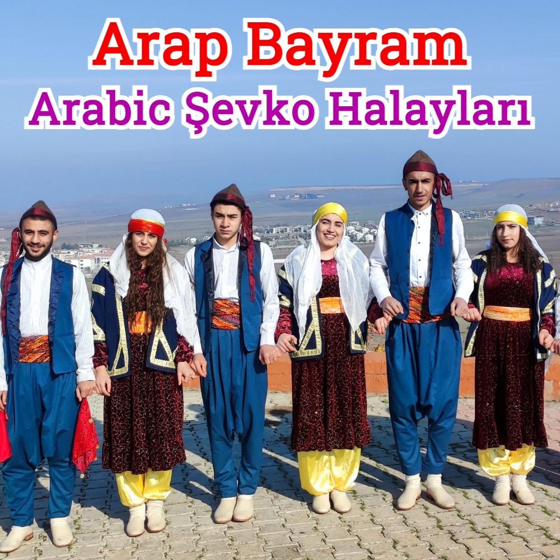 Постер альбома Arabic Şevko Halayları