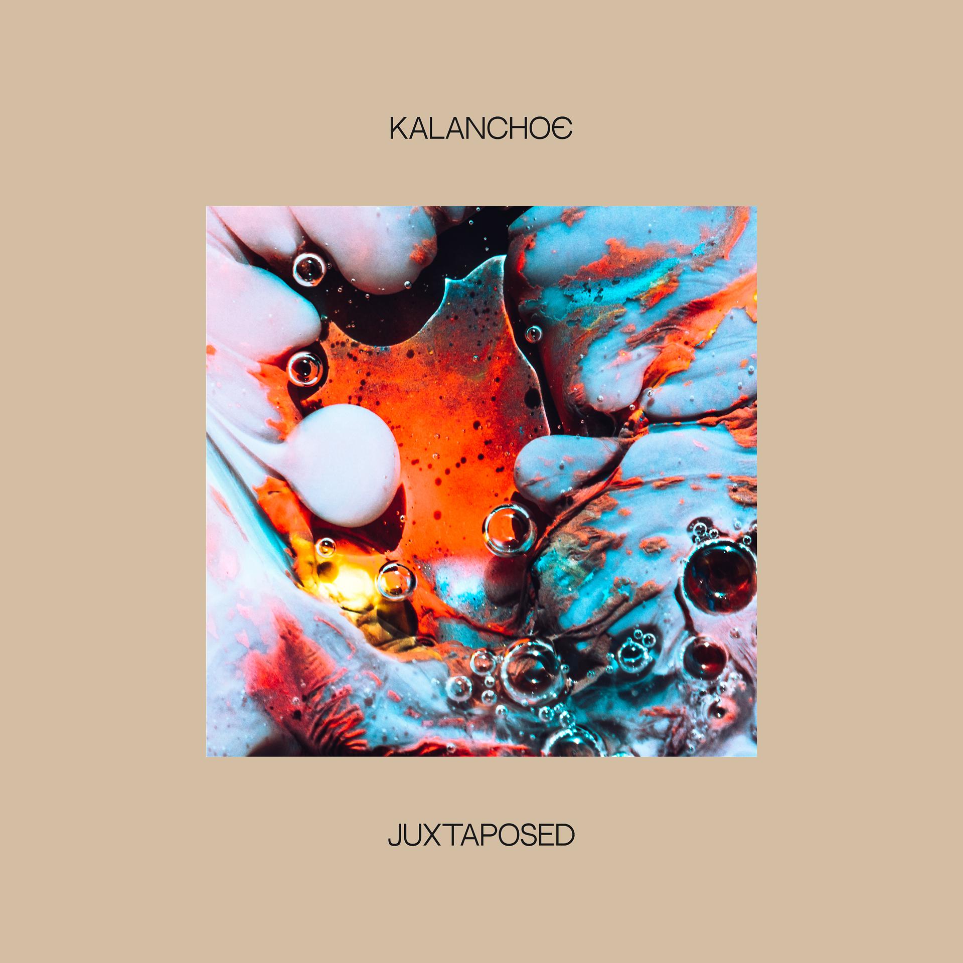 Постер к треку Kalanchoe - colorless, formless