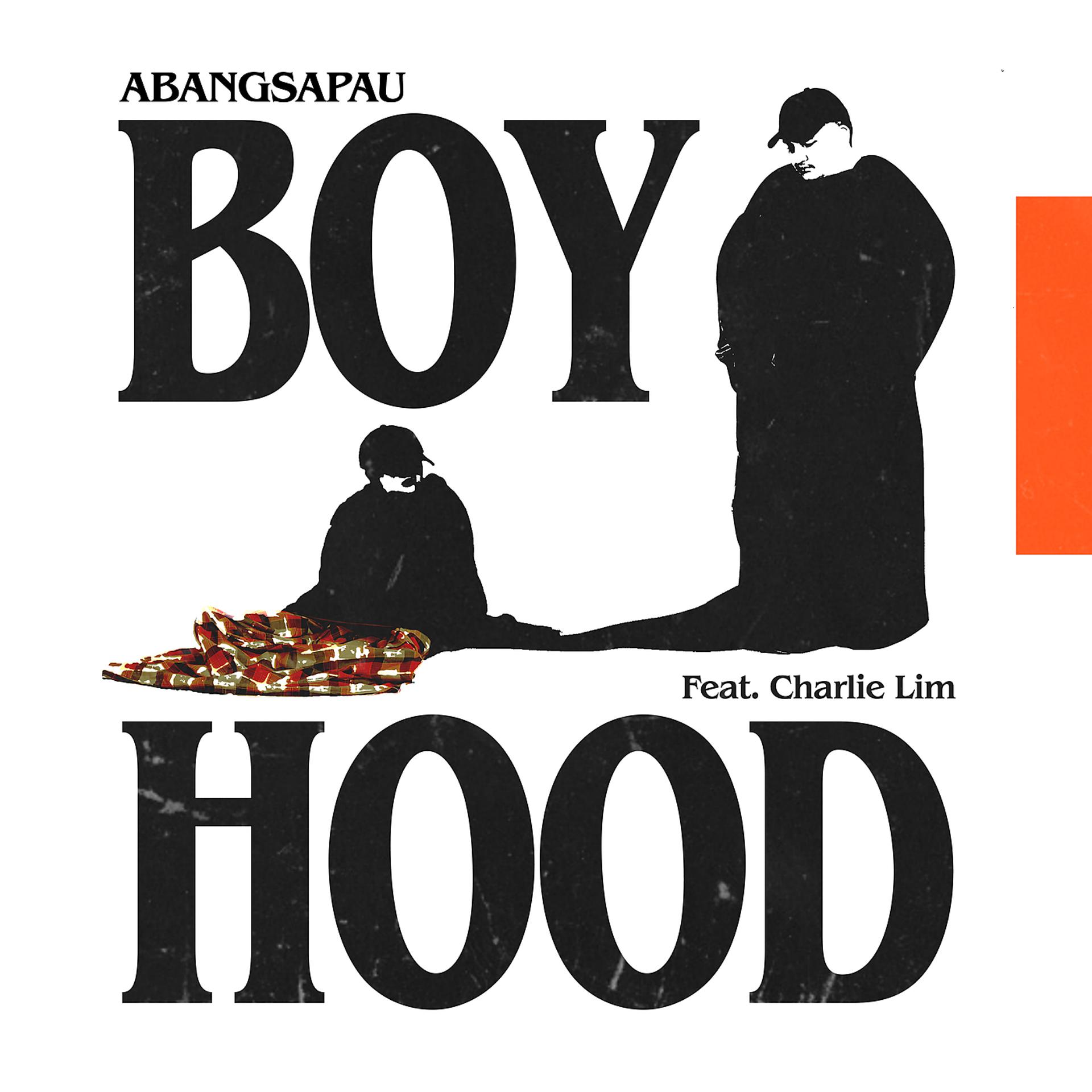 Постер альбома Boyhood