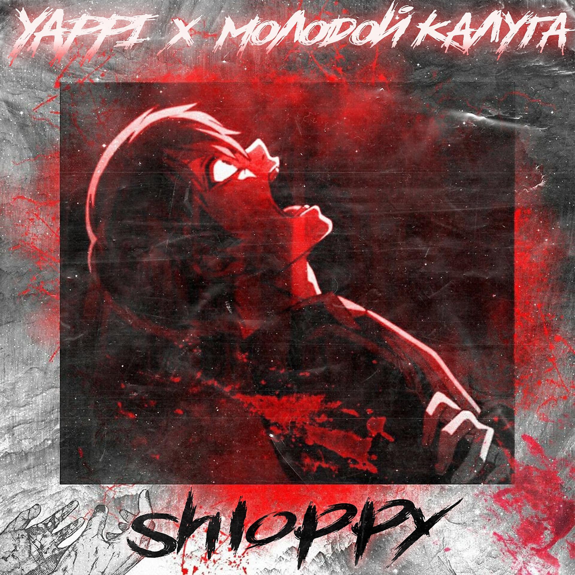 Постер альбома Shloppy