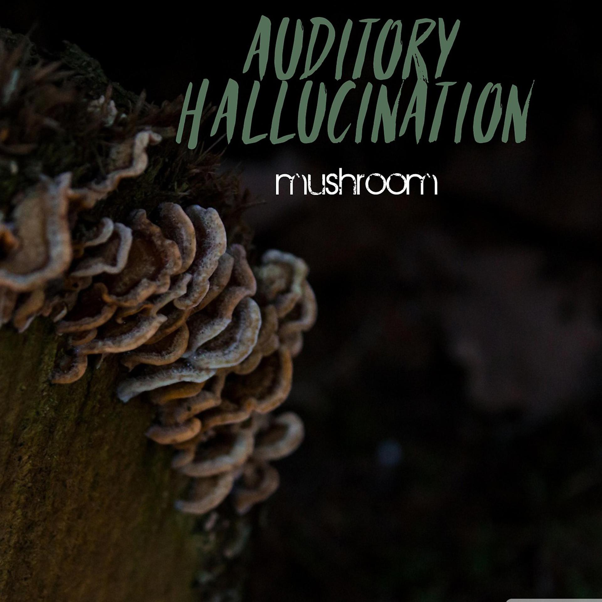 Постер альбома Mushrooms