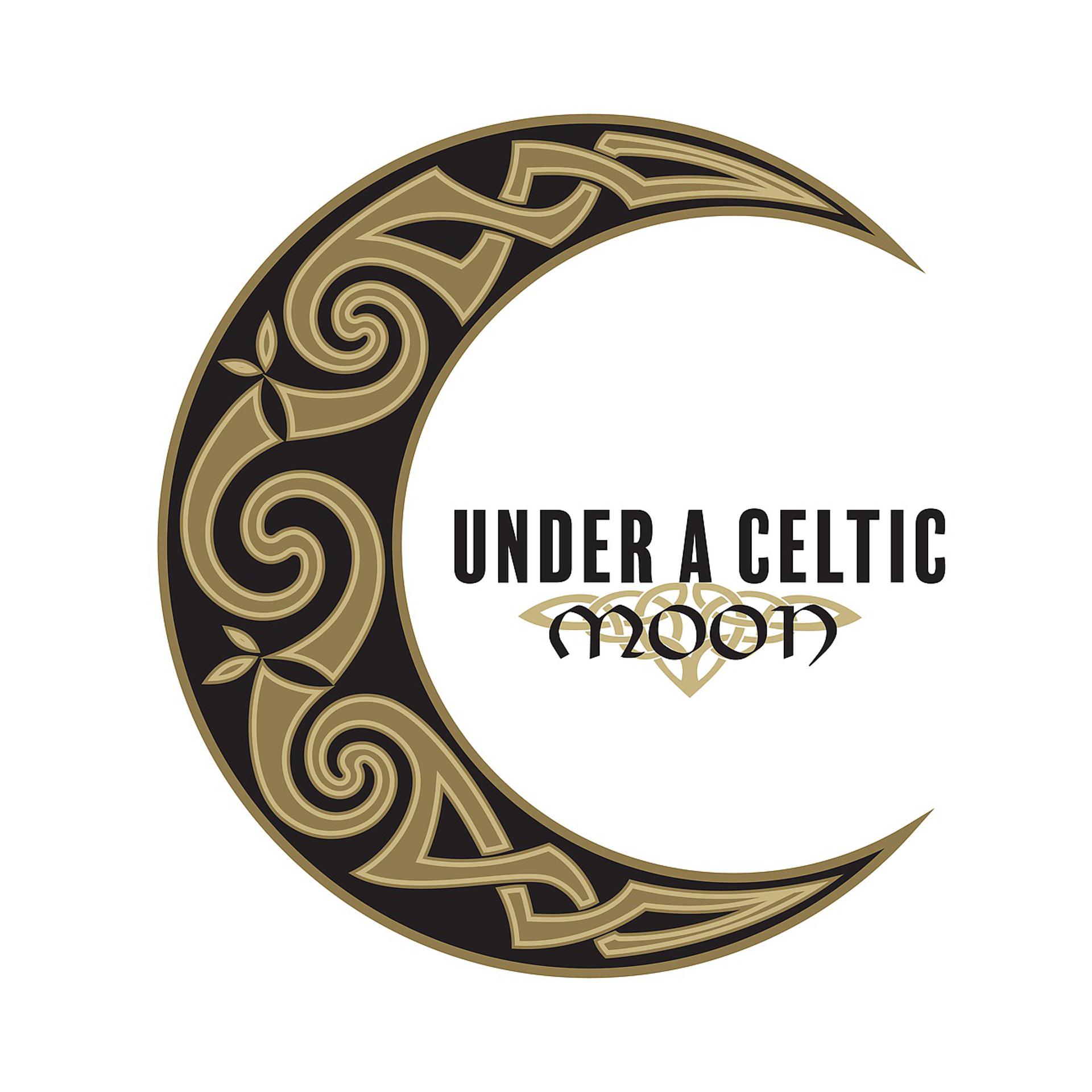 Постер альбома Under a Celtic Moon