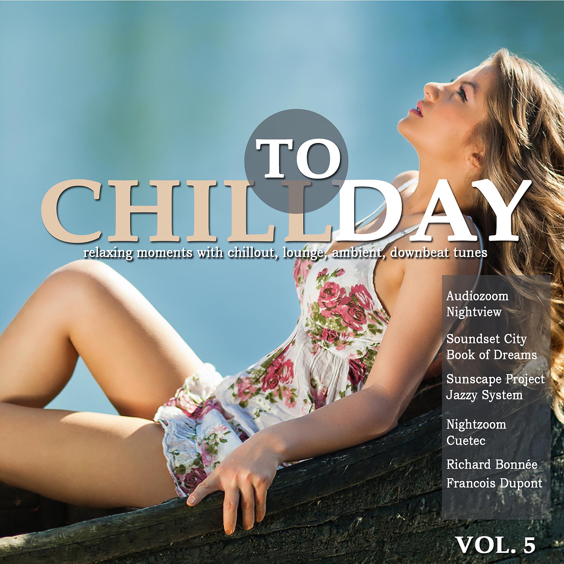 Постер альбома Chill Today, Vol. 5 (Relaxing Moments with Chillout Lounge Ambient Downbeat Tunes)