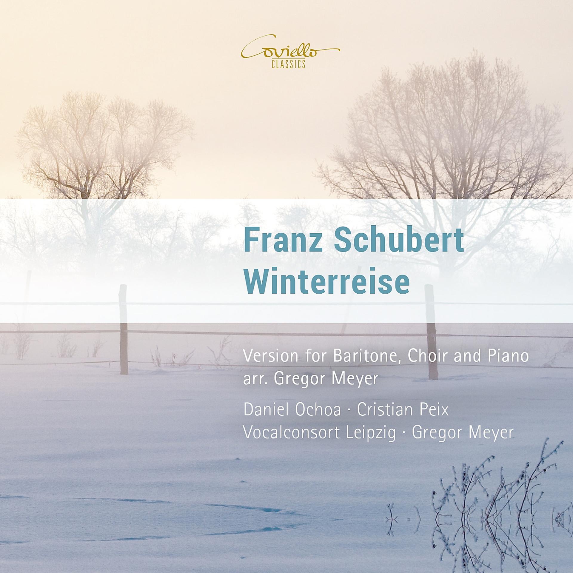 Постер альбома Franz Schubert: Winterreise, Op. 89