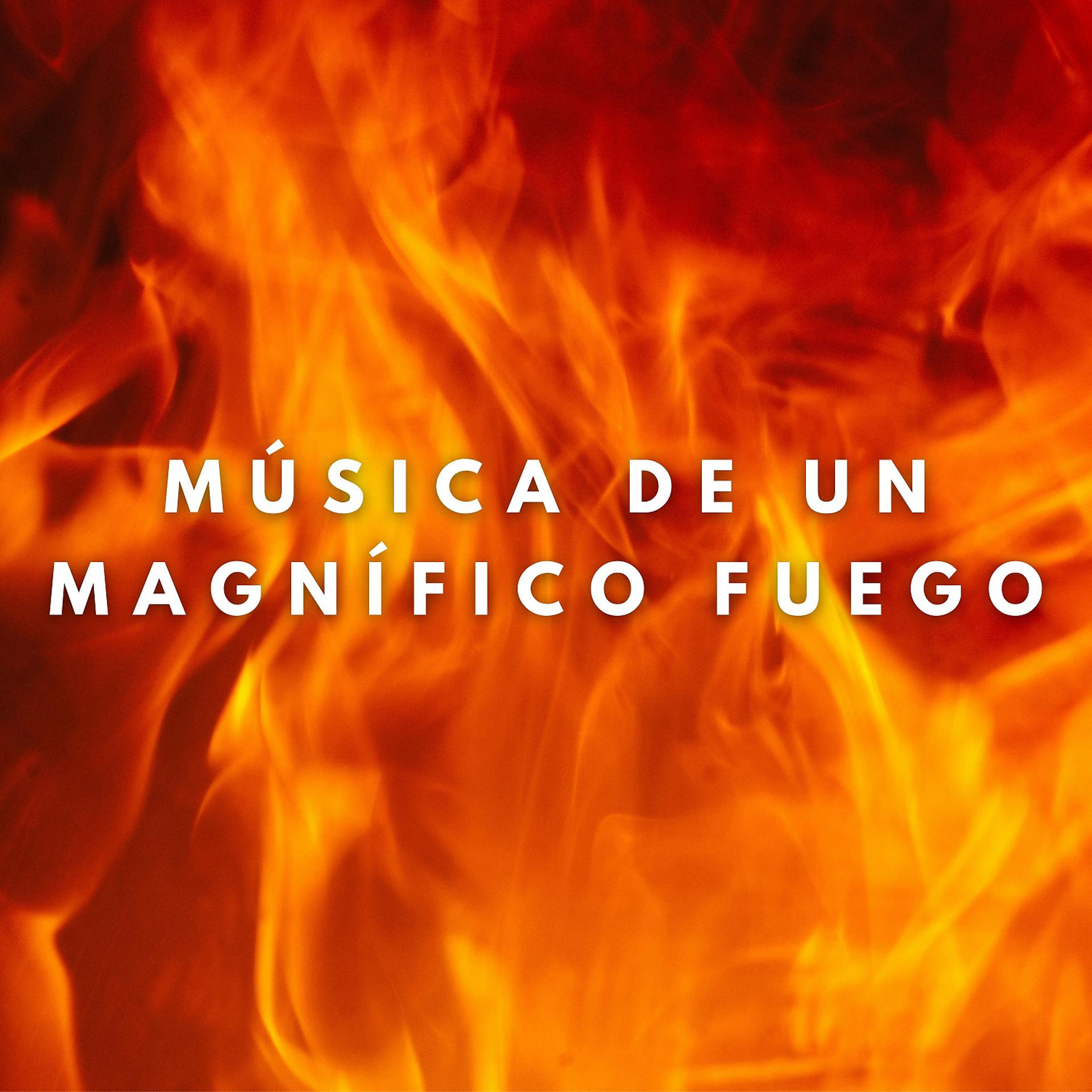 Постер альбома Música De Un Magnífico Fuego