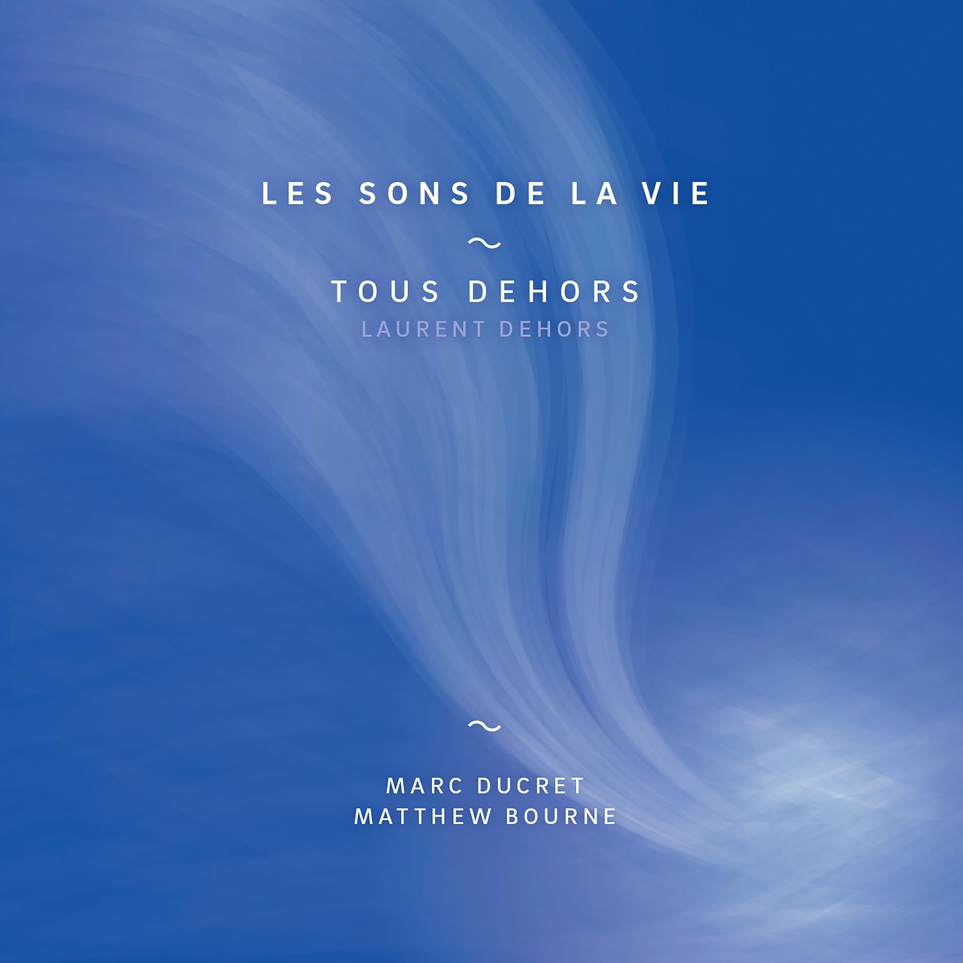 Постер альбома Les sons de la vie