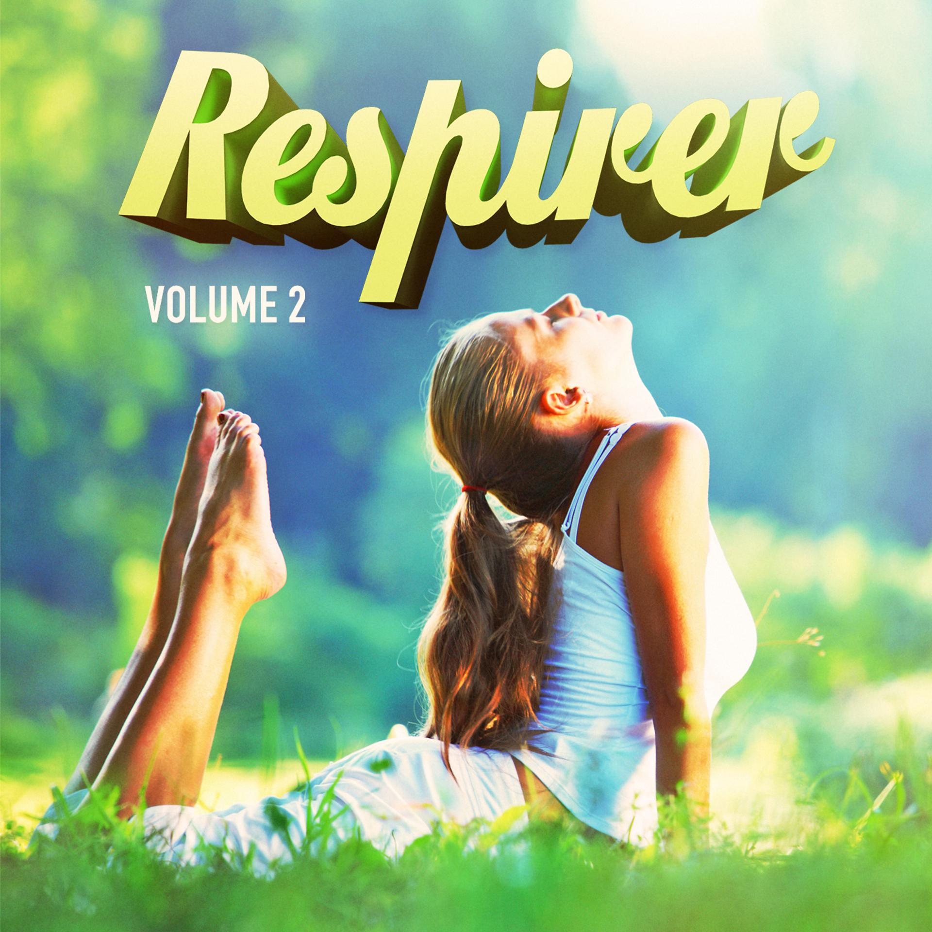 Постер альбома Respirez, Vol. 2 (25 musiques de relaxation pour vous apaiser l'esprit)
