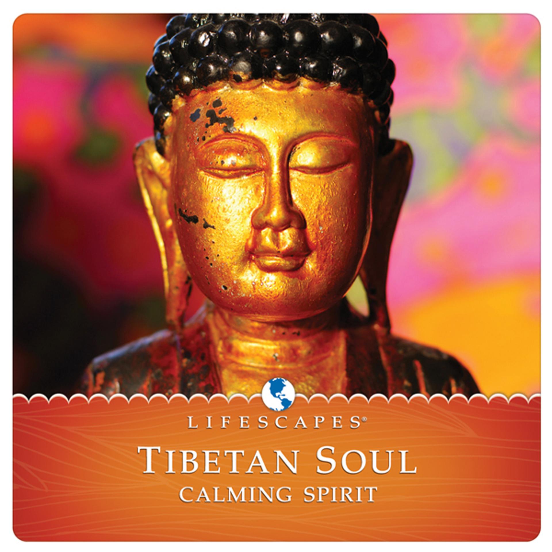 Постер альбома Tibetan Soul
