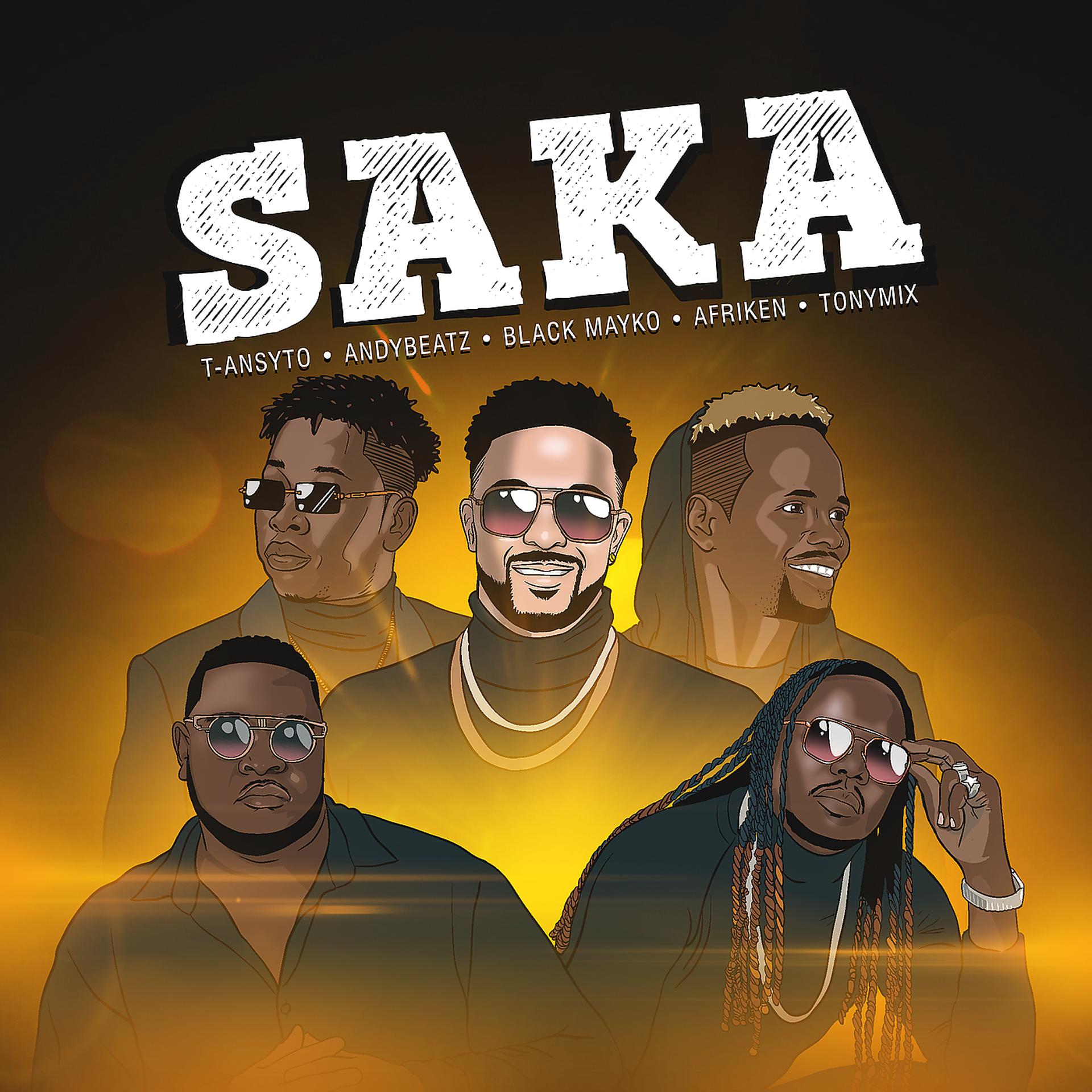Постер альбома Saka