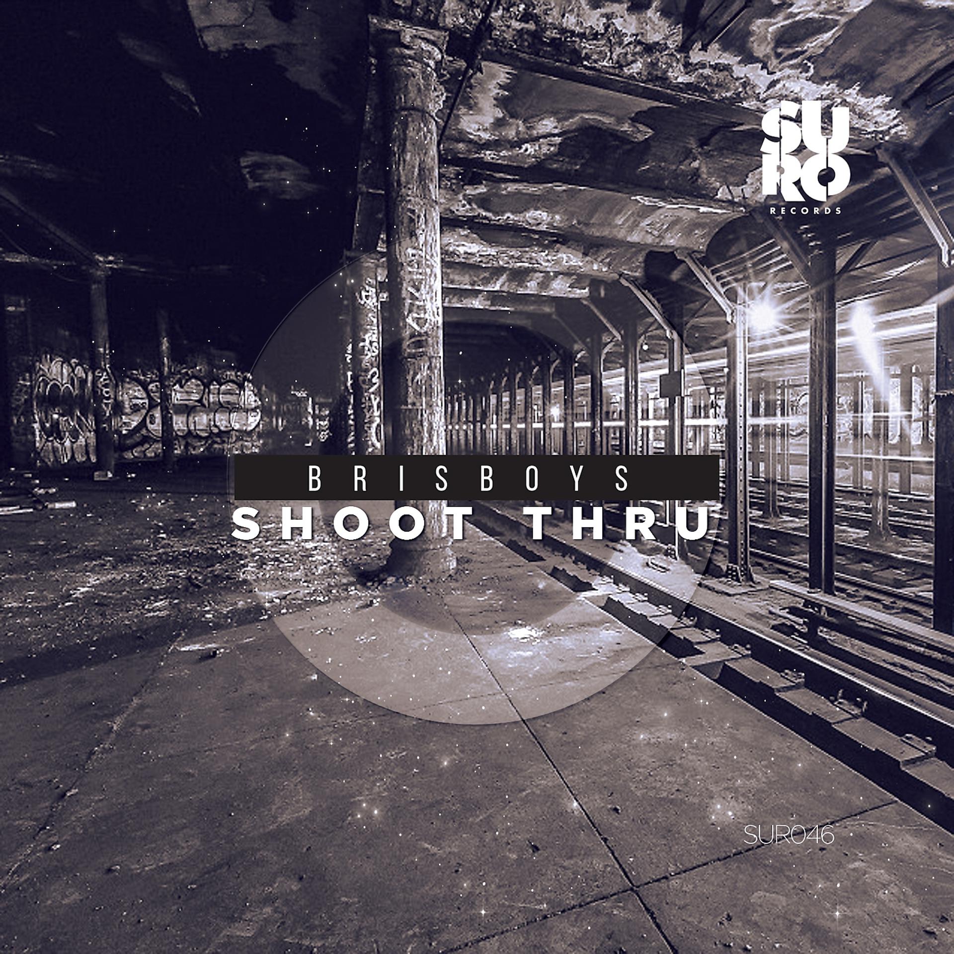 Постер альбома Shoot Thru