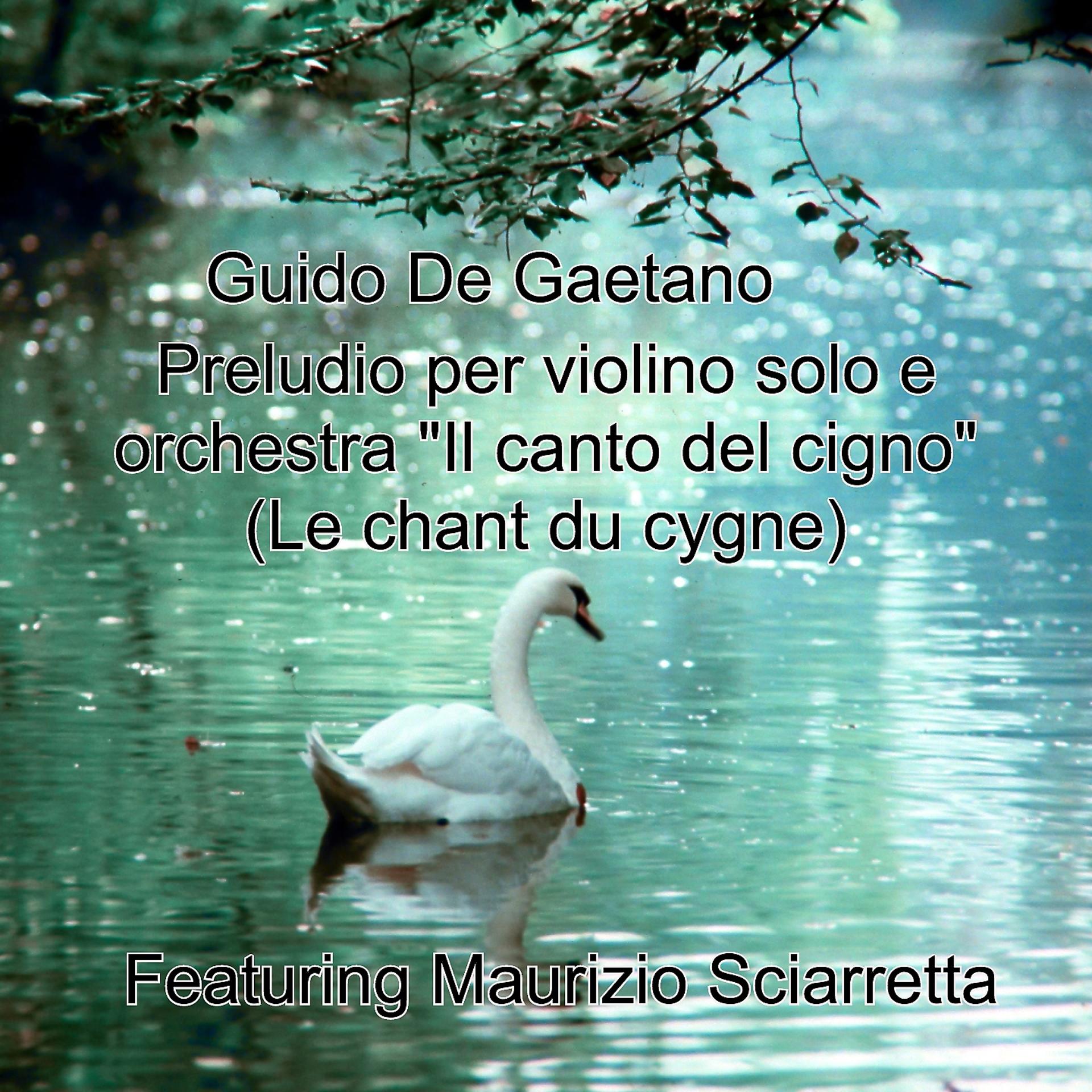 Постер альбома Preludio per violino solo