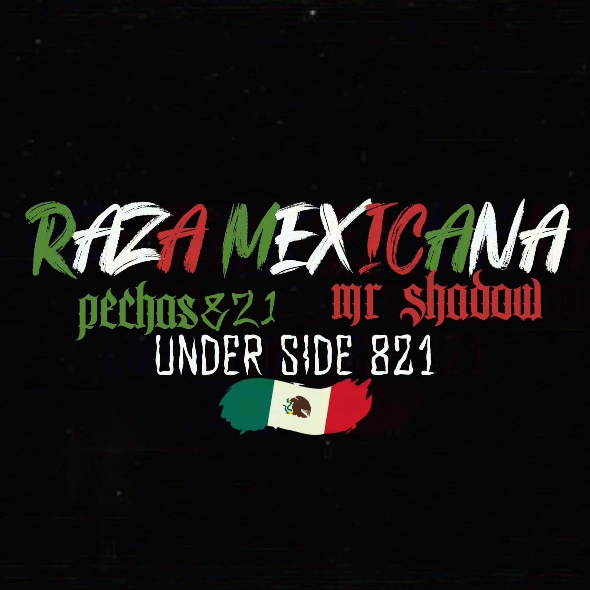 Постер альбома Raza Mexicana