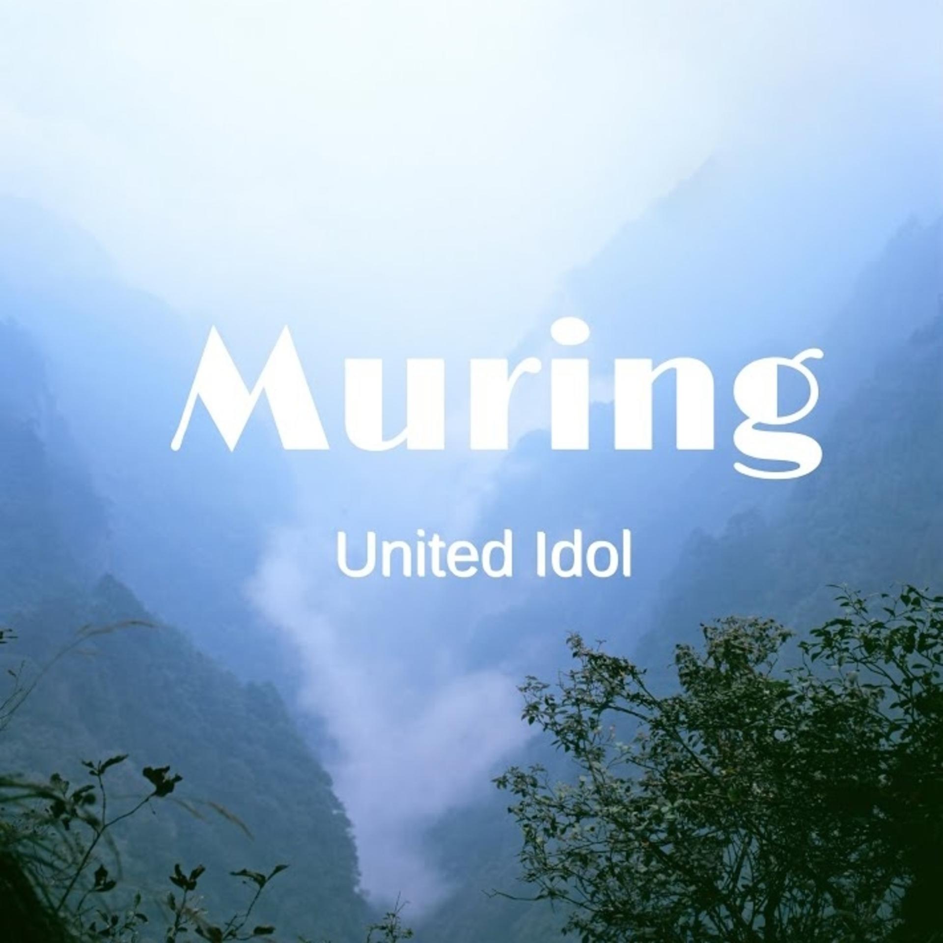 Постер альбома Muring