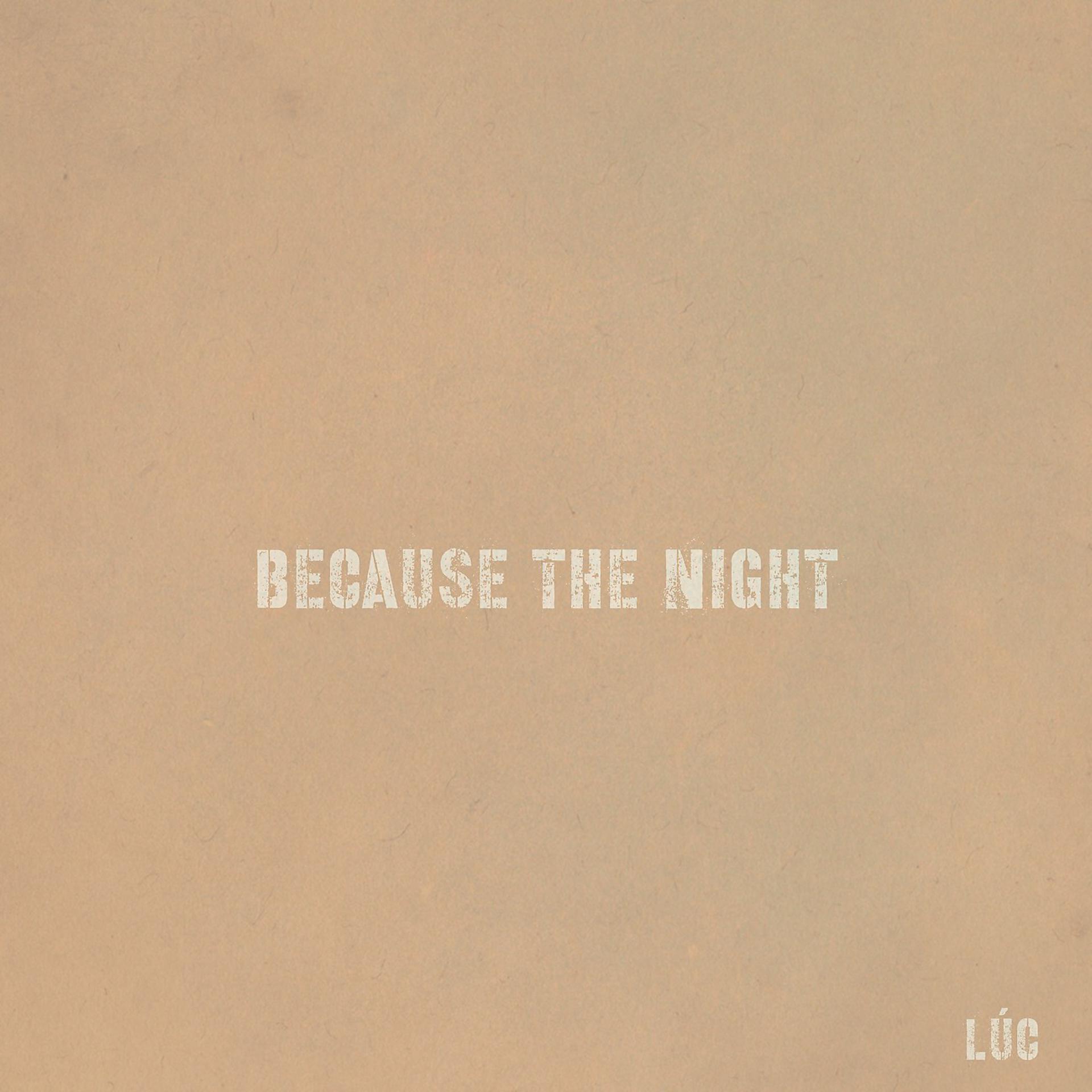 Постер альбома Because the Night