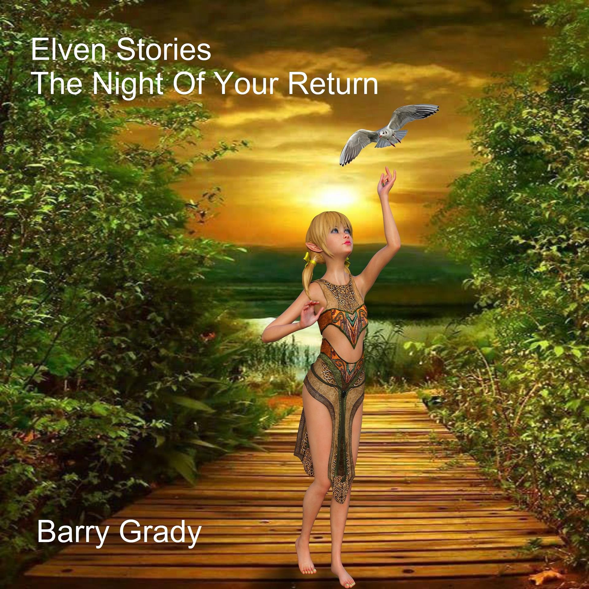 Постер альбома Elven Stories - The Night of Your Return