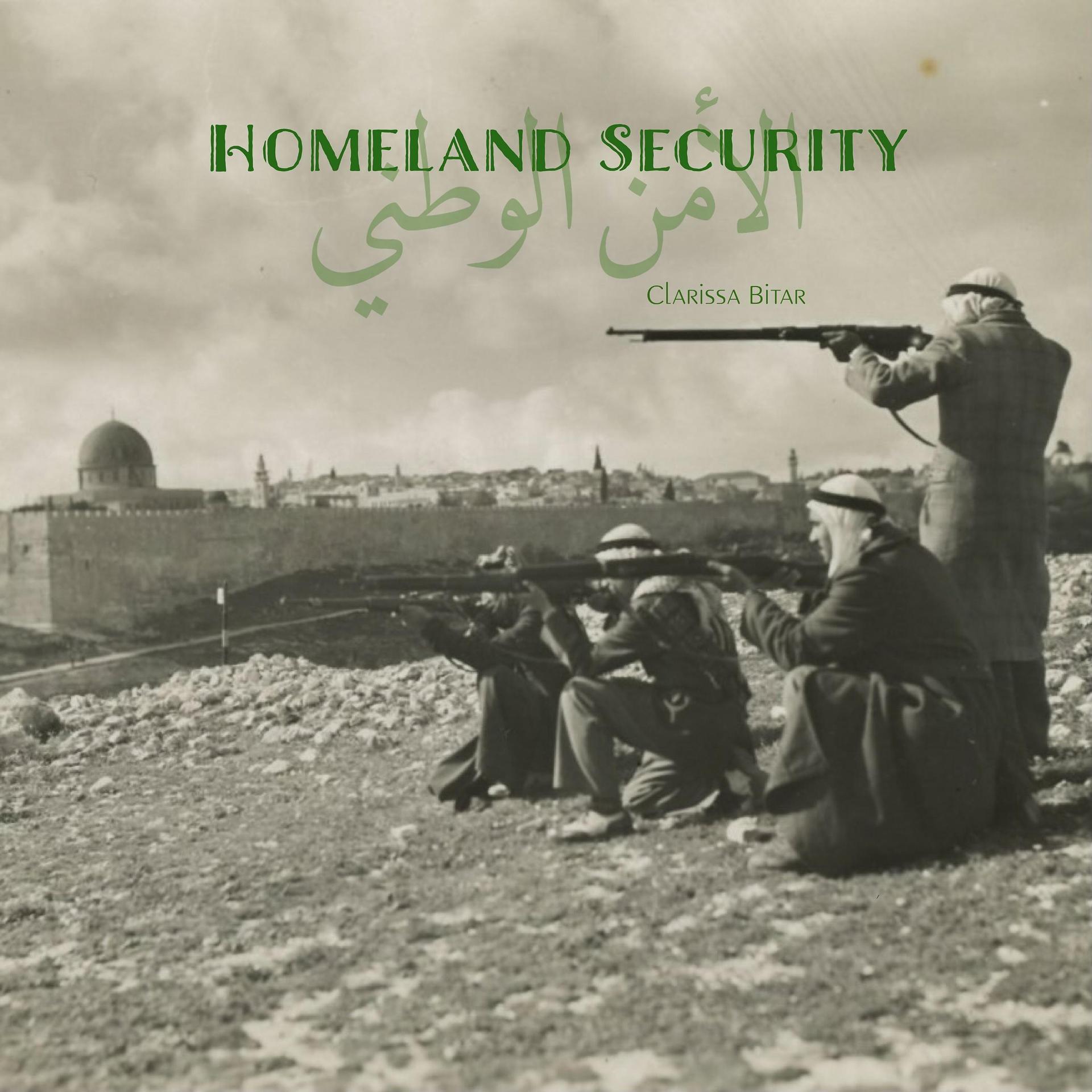 Постер альбома Homeland Security