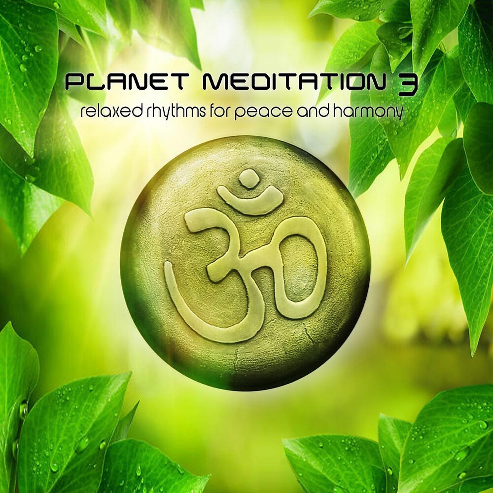Постер альбома Planet Meditation 3