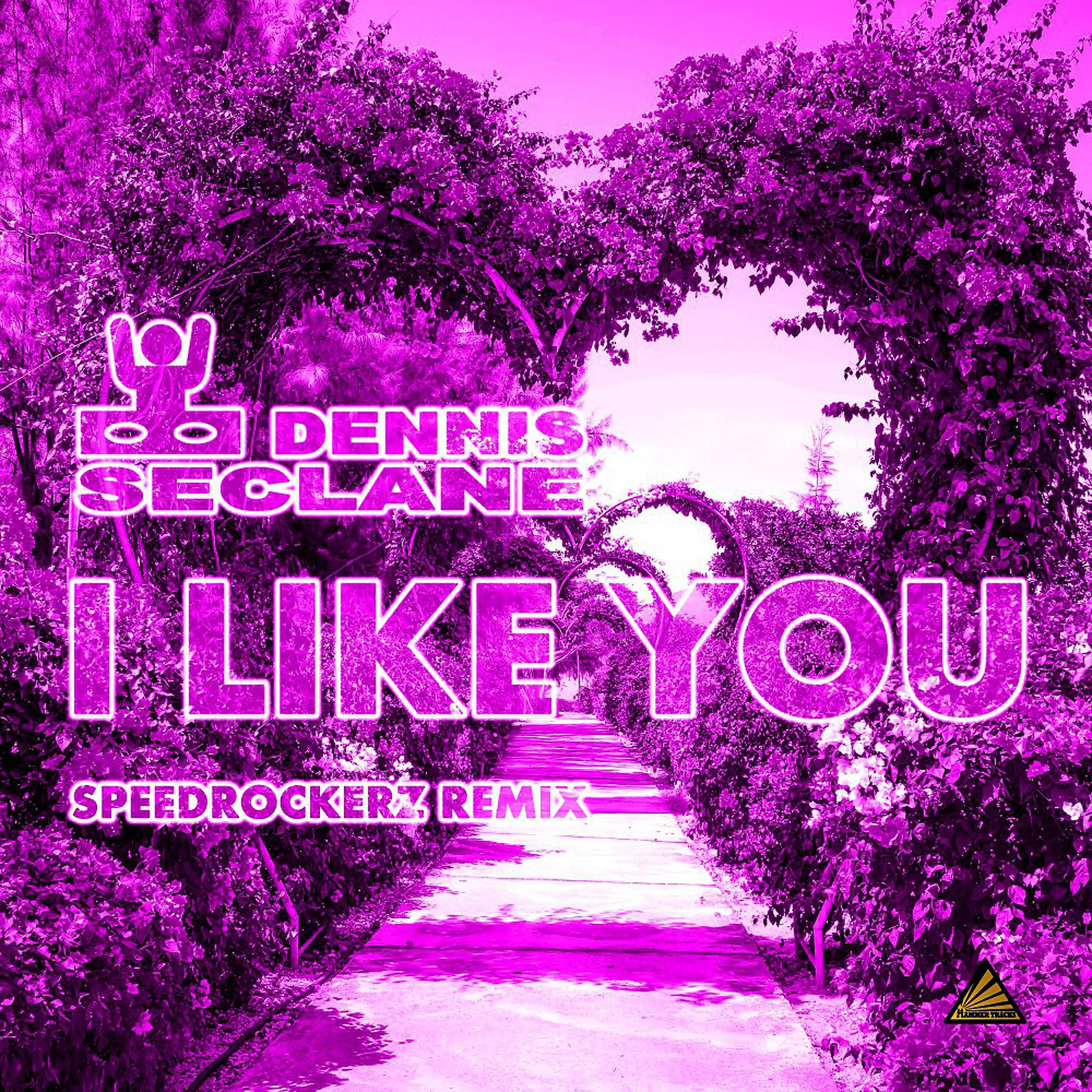 Постер альбома I Like You (Speedrockerz Remix)