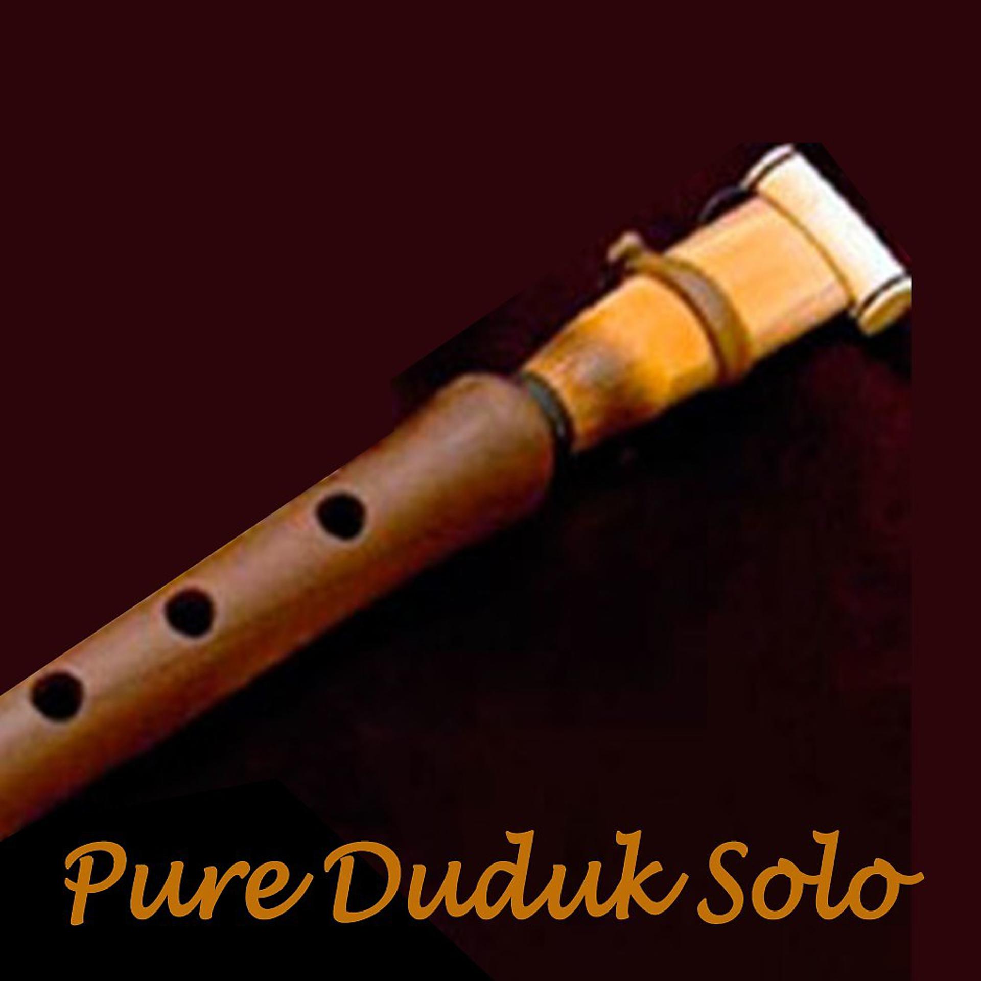 Постер альбома Pure Duduk Solo