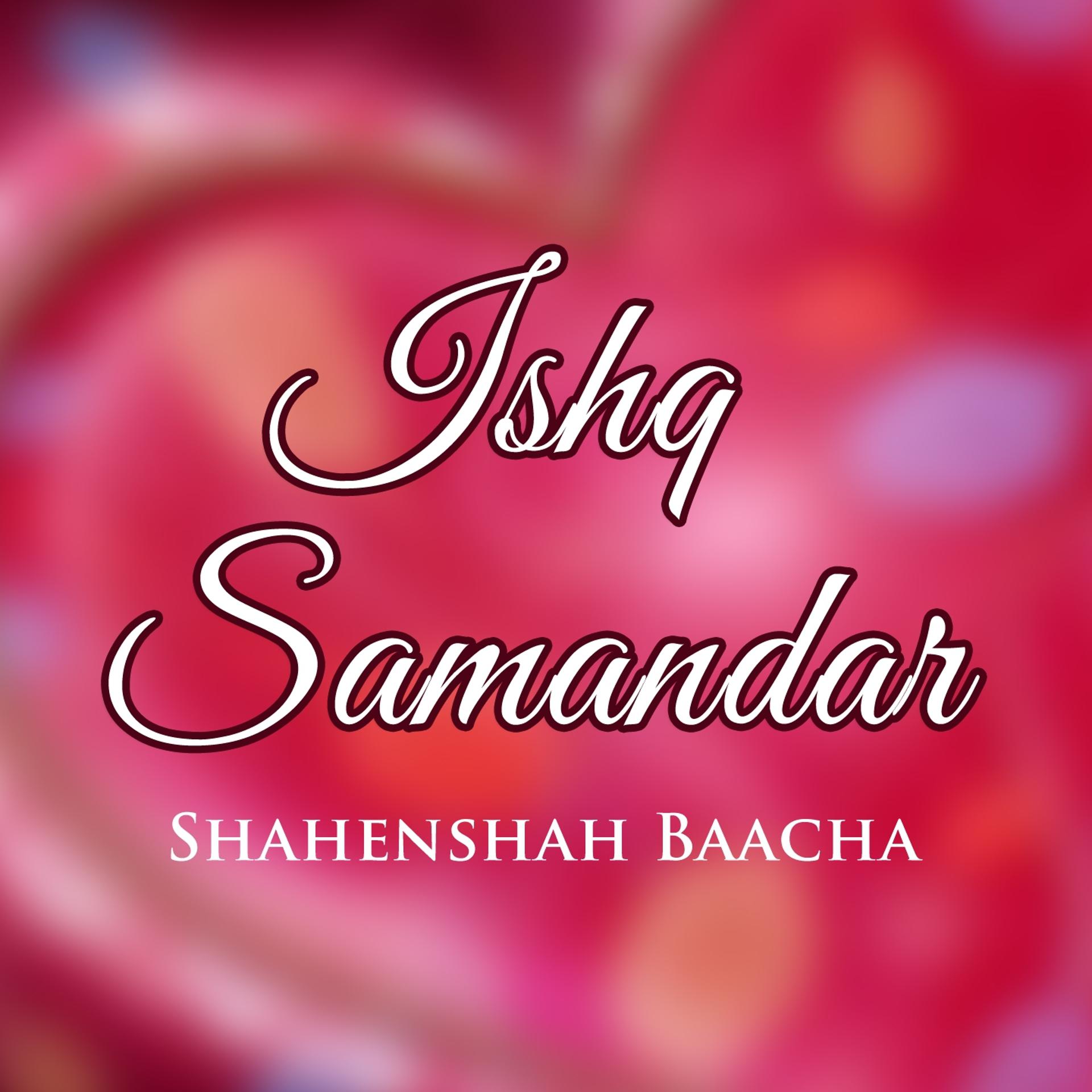 Постер альбома Ishq Samandar