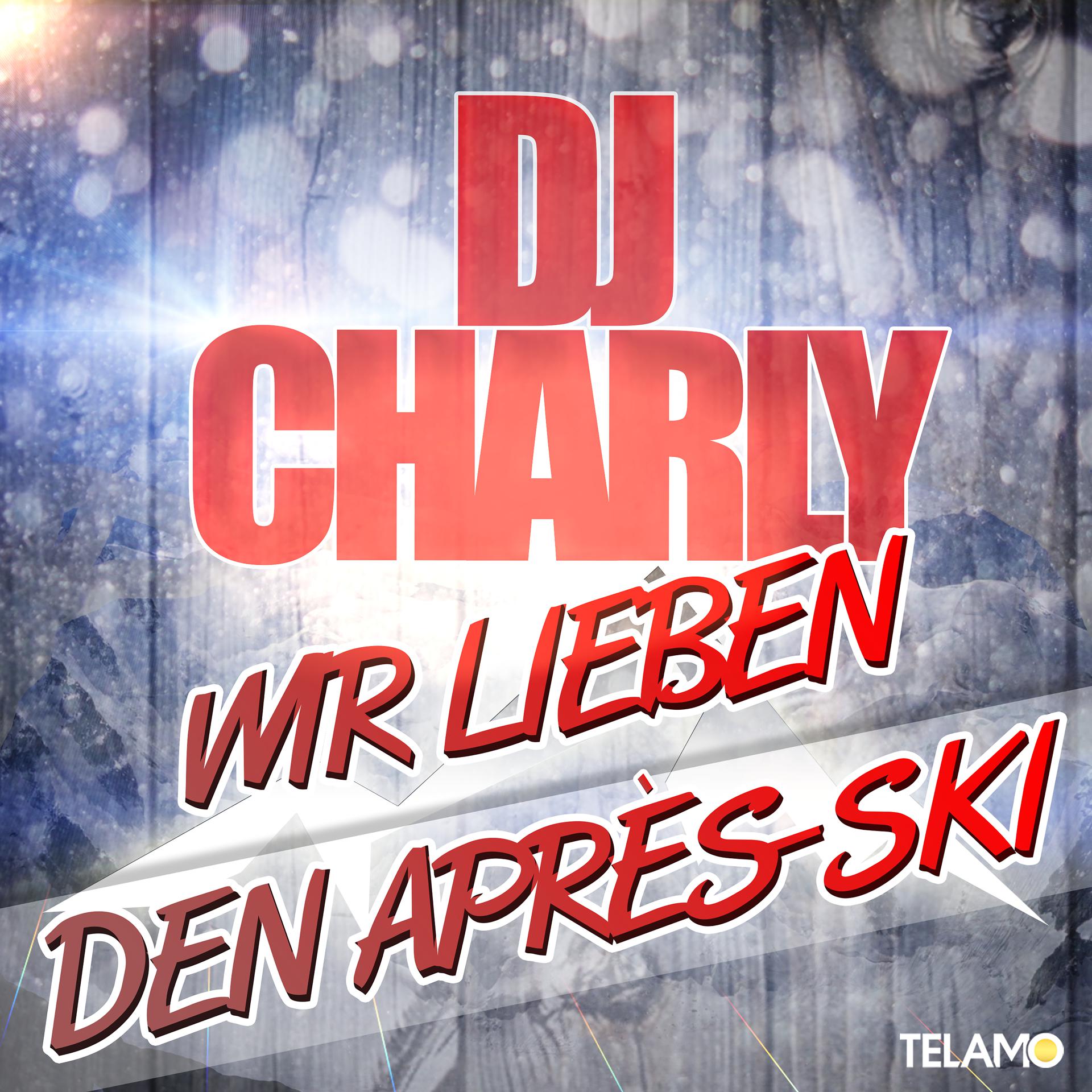 Постер альбома Wir lieben den Après Ski