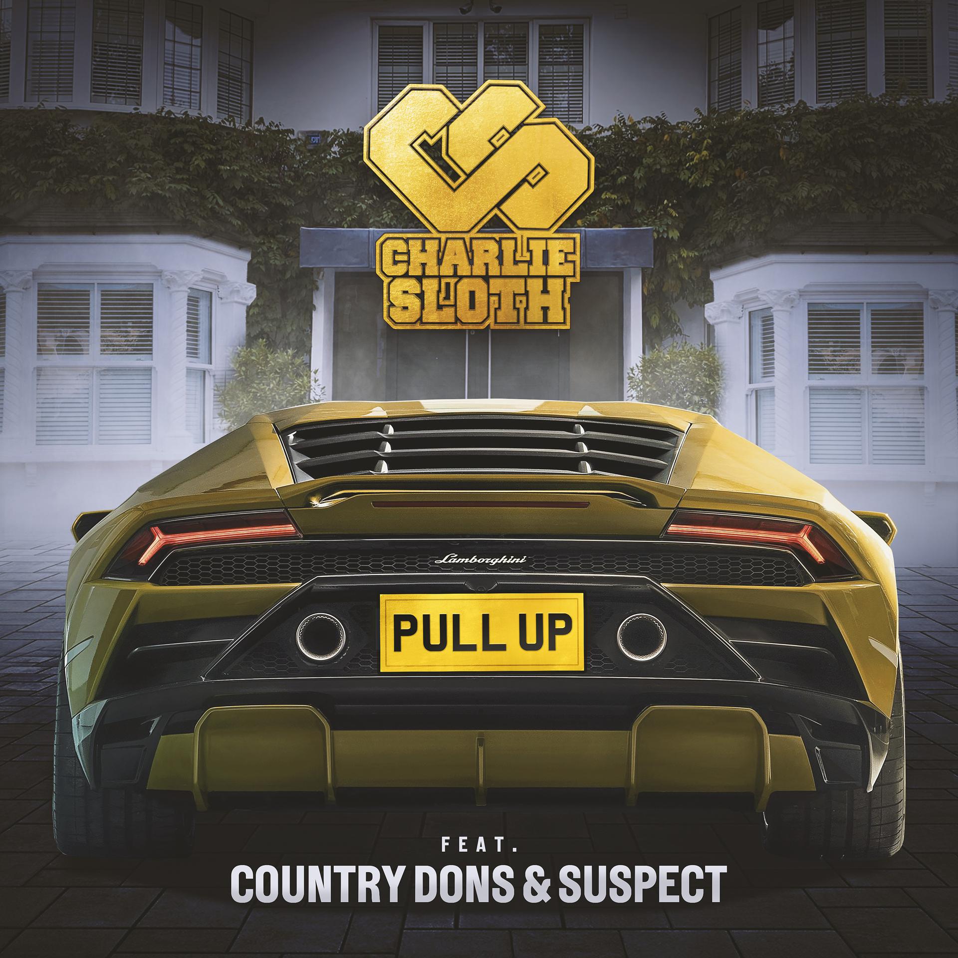 Постер альбома Pull Up (feat. Country Dons & Suspect OTB)