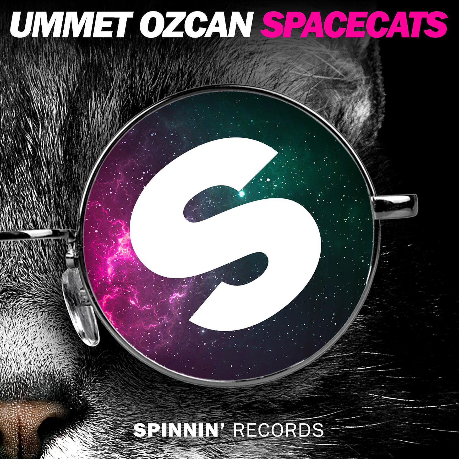 Постер альбома Spacecats