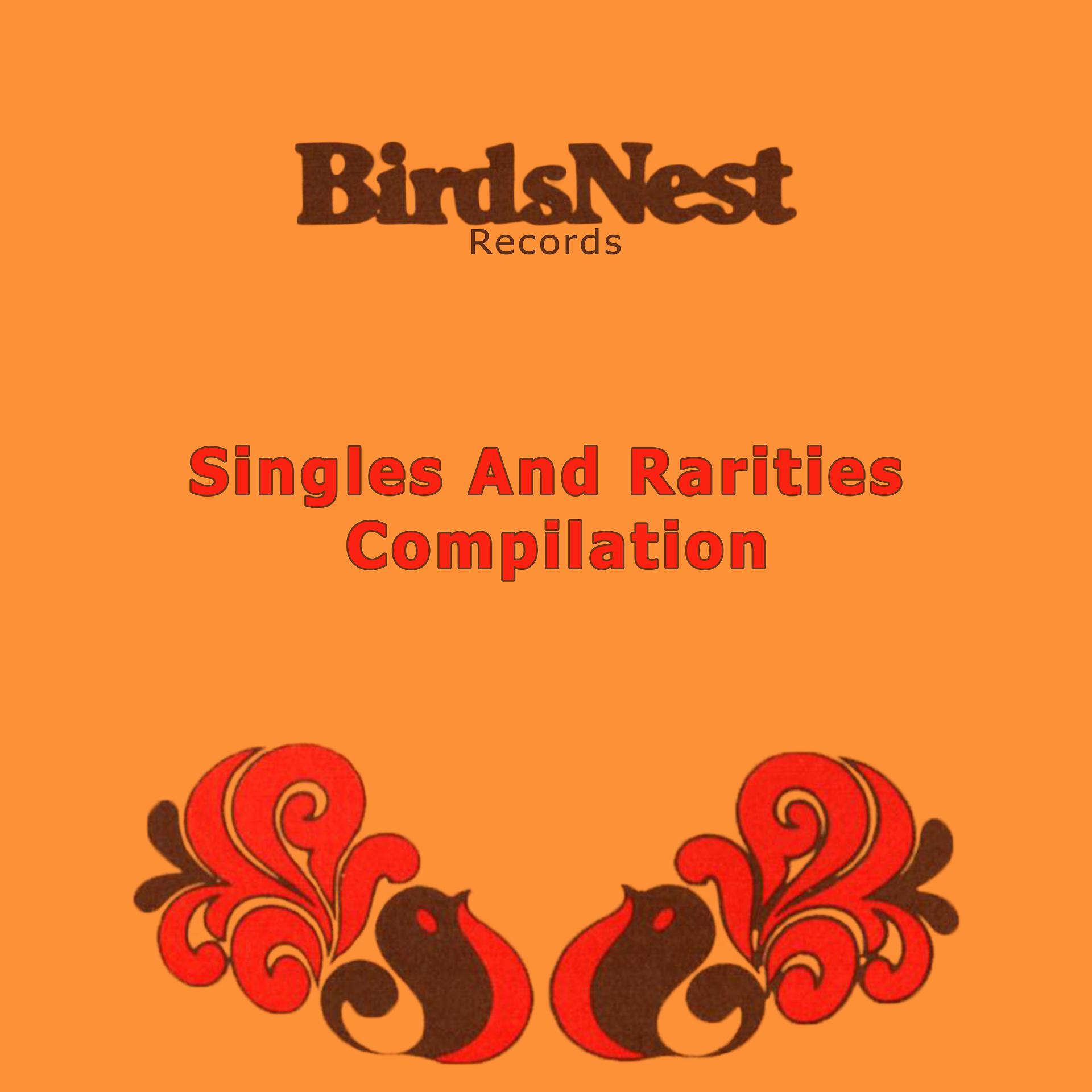 Постер альбома Birdsnest Records: Singles And Rarities Compilation