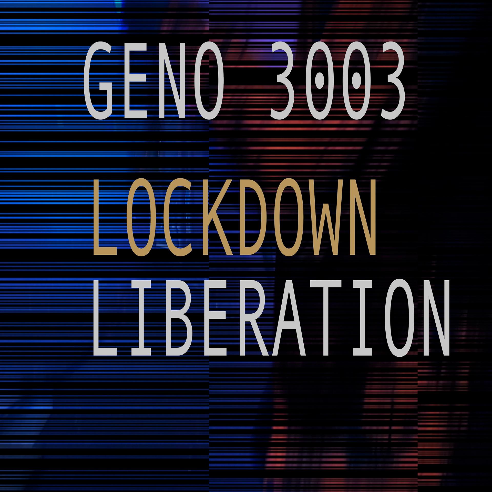 Постер альбома Lockdown Liberation