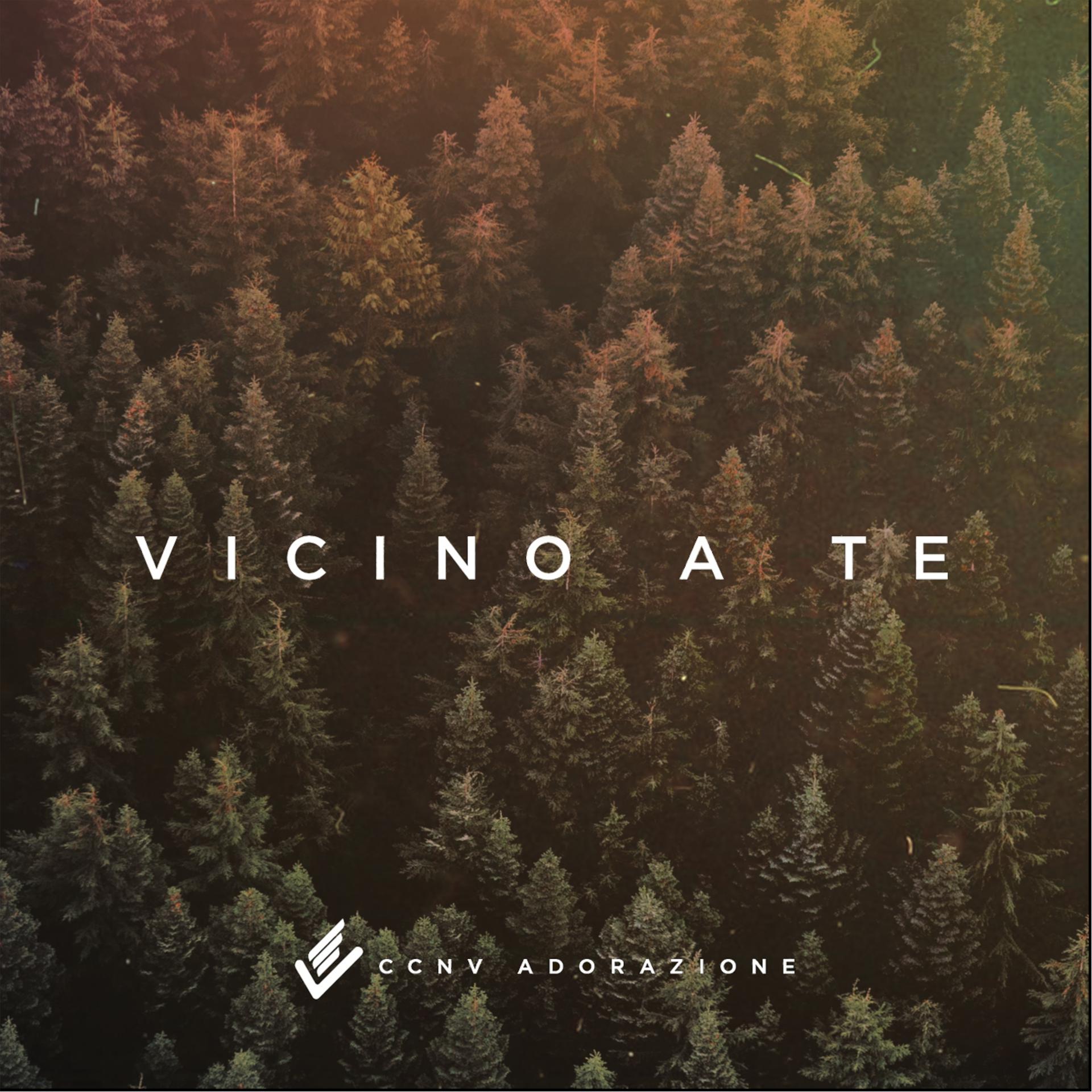 Постер альбома Vicino a te