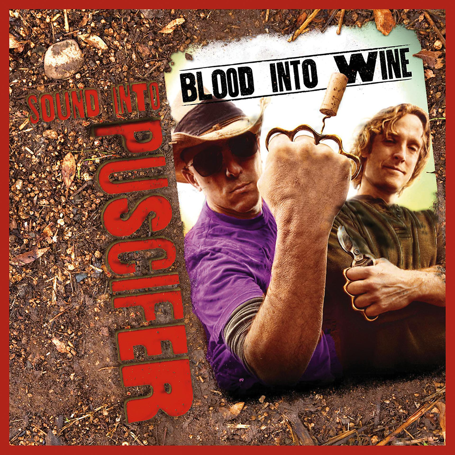 Постер альбома Sound Into Blood Into Wine