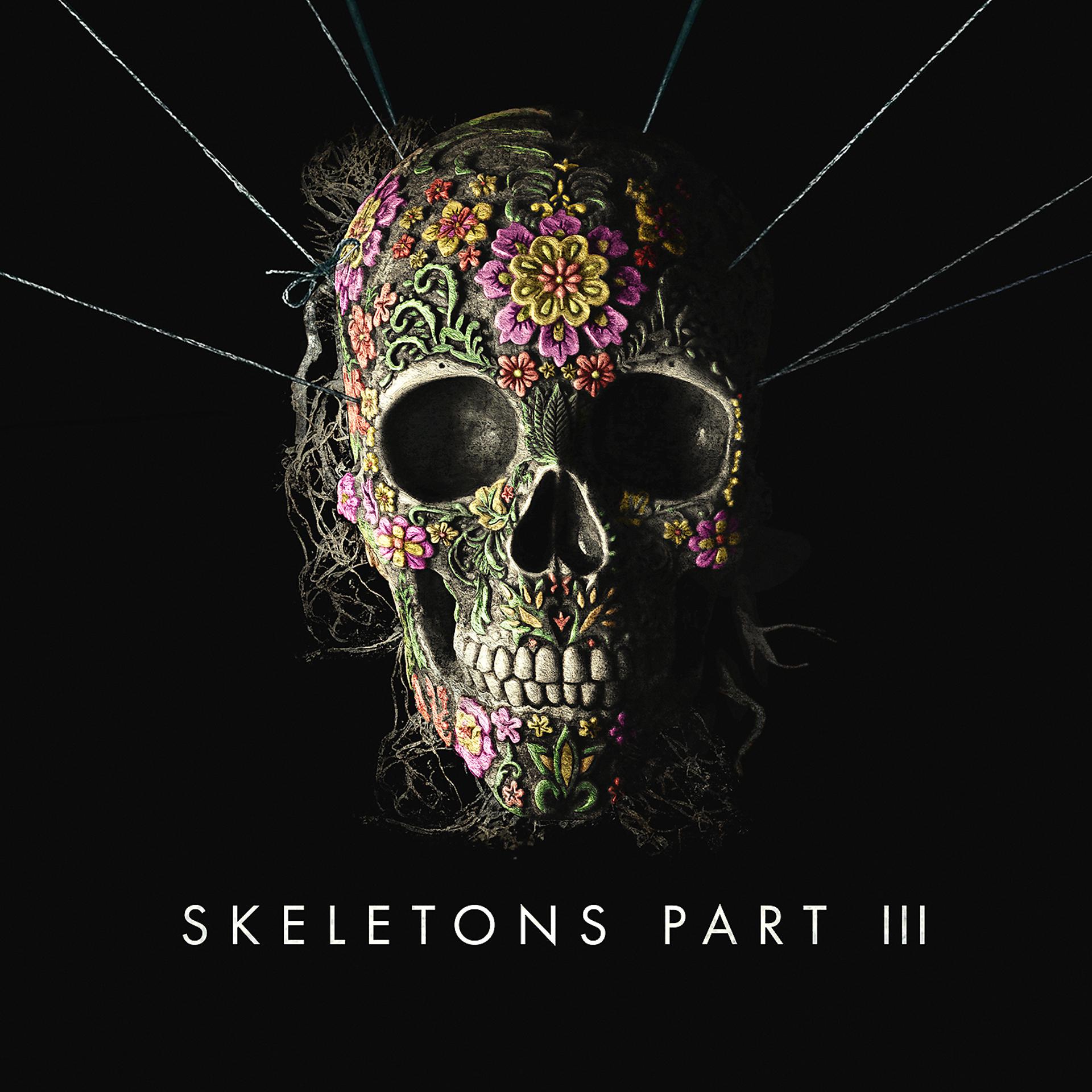 Постер альбома Skeletons: Part 3
