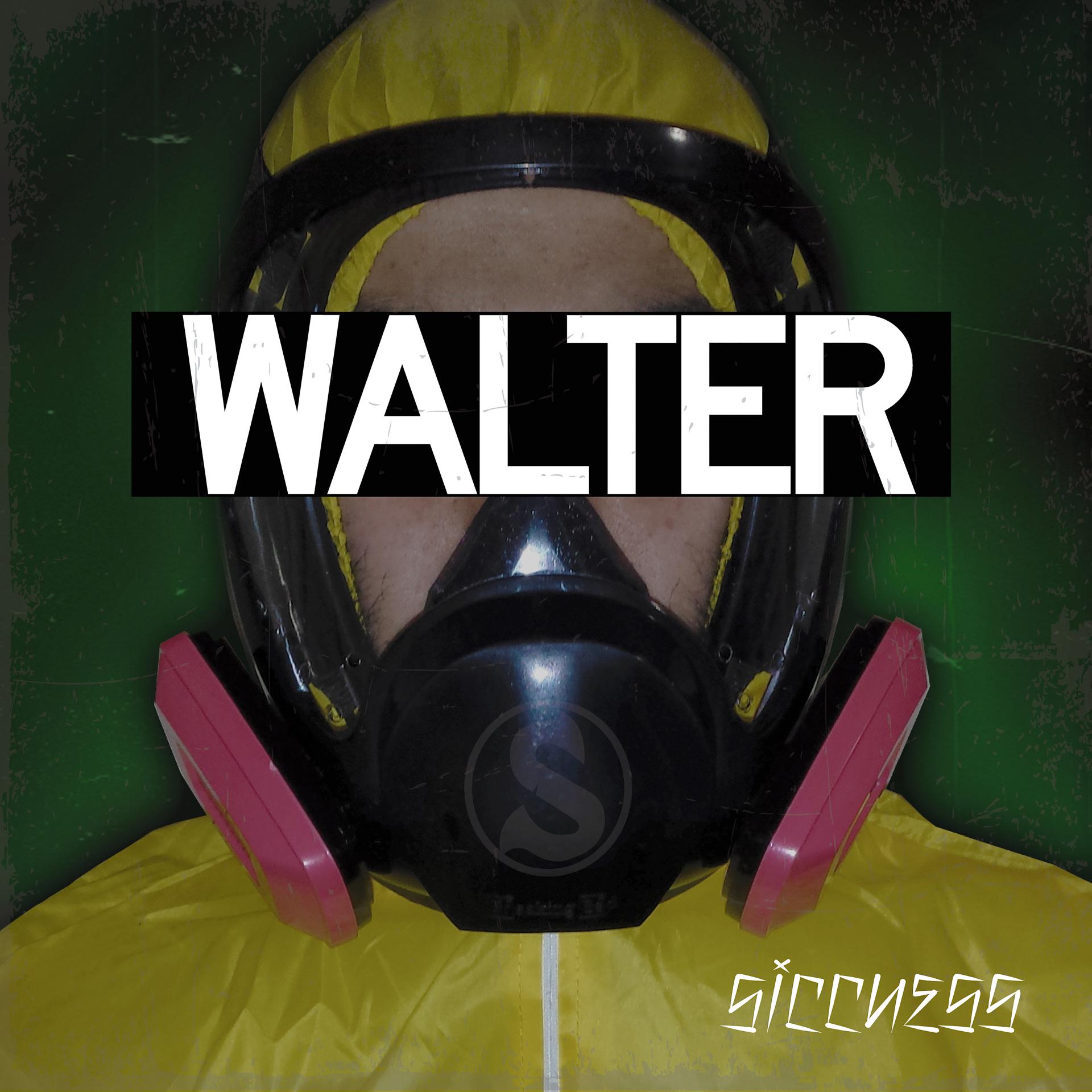 Постер альбома WALTER
