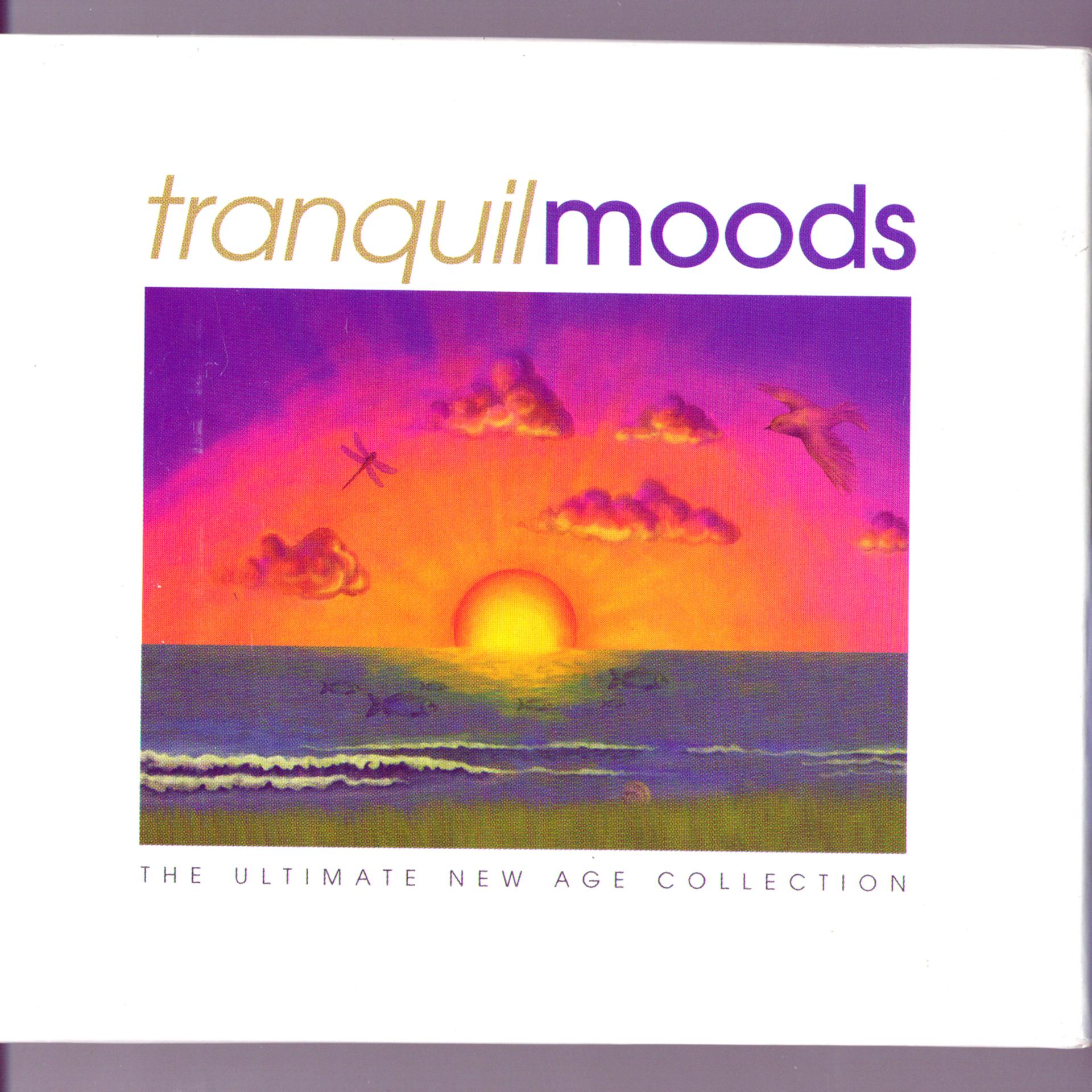 Постер альбома Pure Moods: The Ultimate New Age Collection