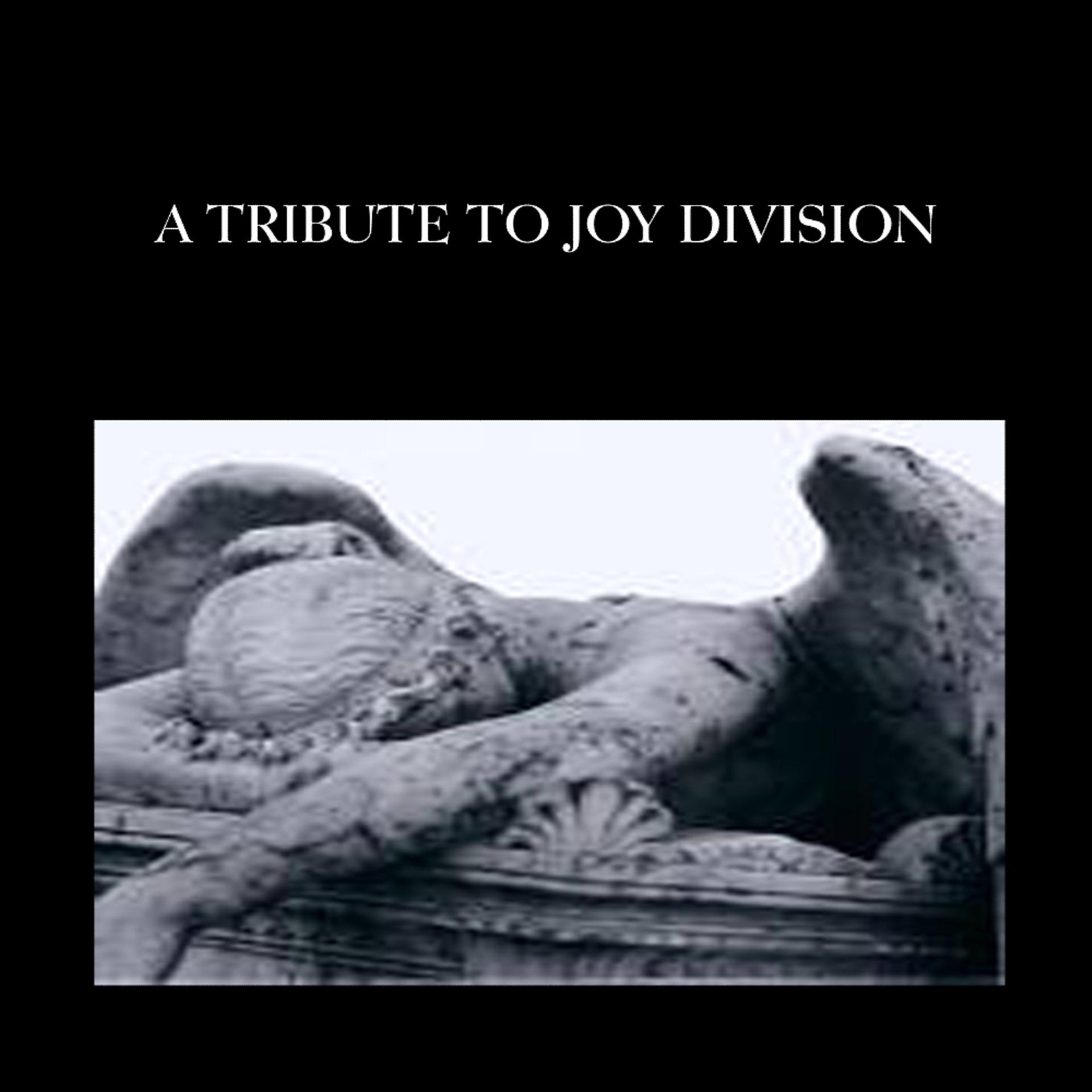 Постер альбома A Tribute to Joy Division