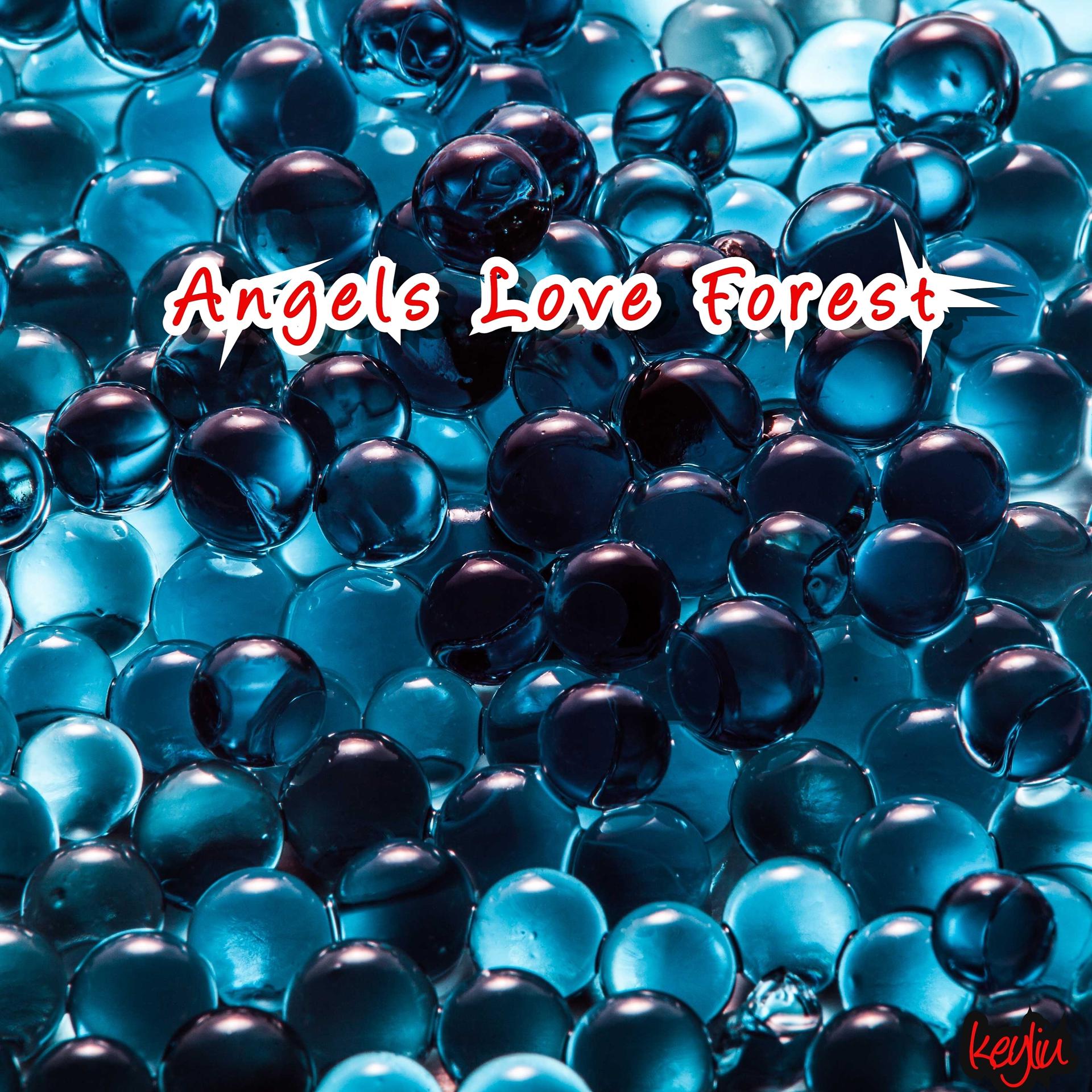 Постер альбома Angels Love Forest