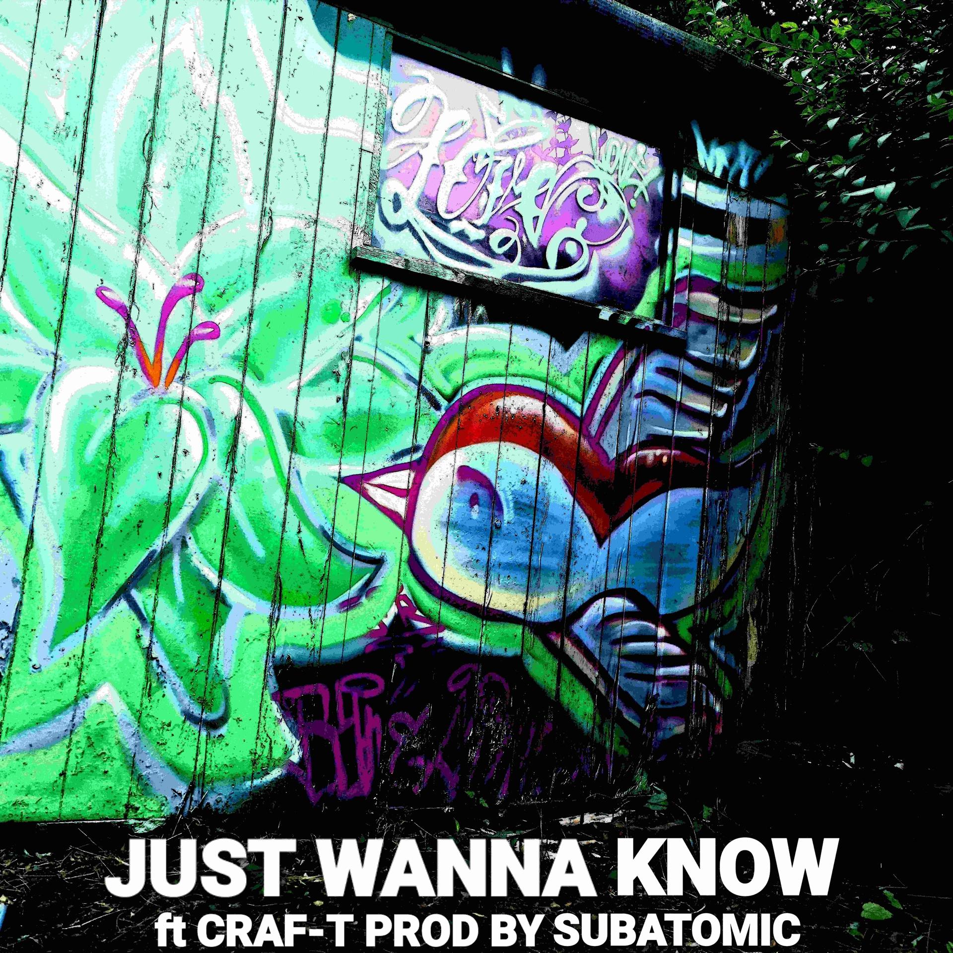Постер альбома Just Wanna Know