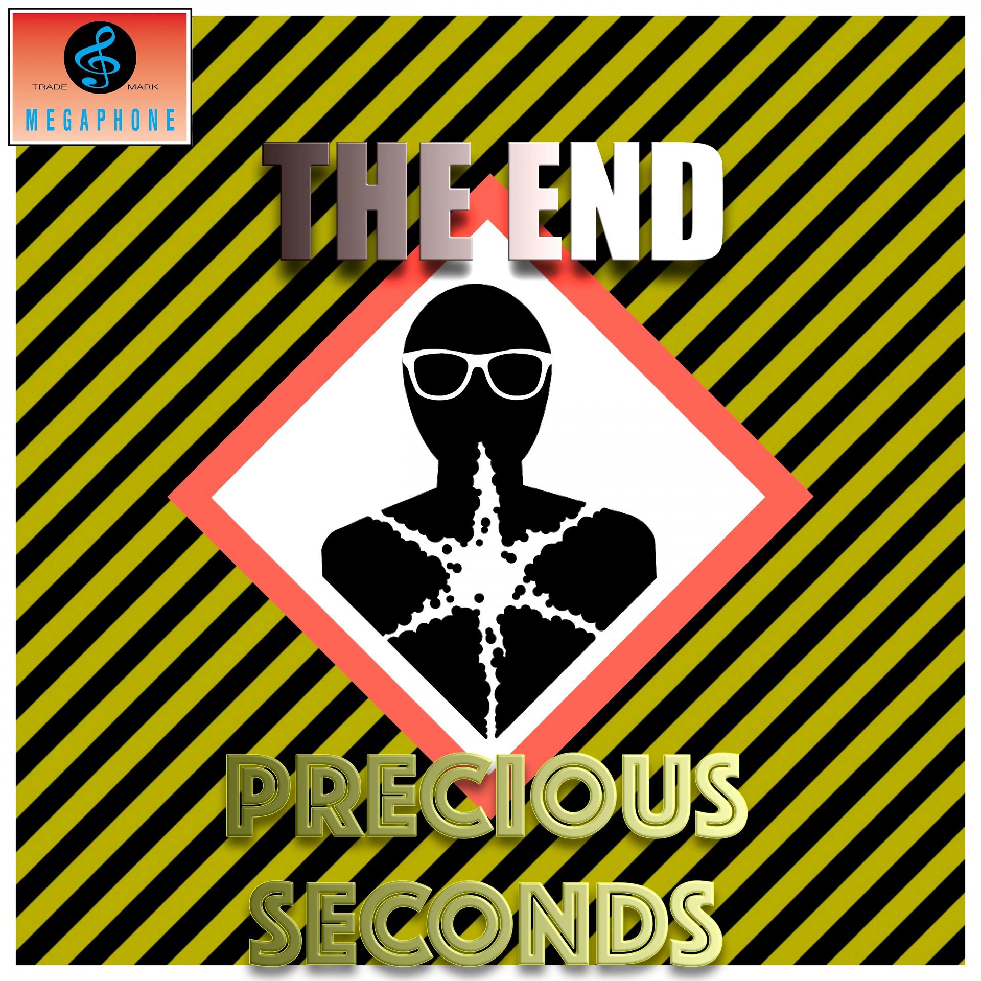 Постер к треку End - Precious Seconds
