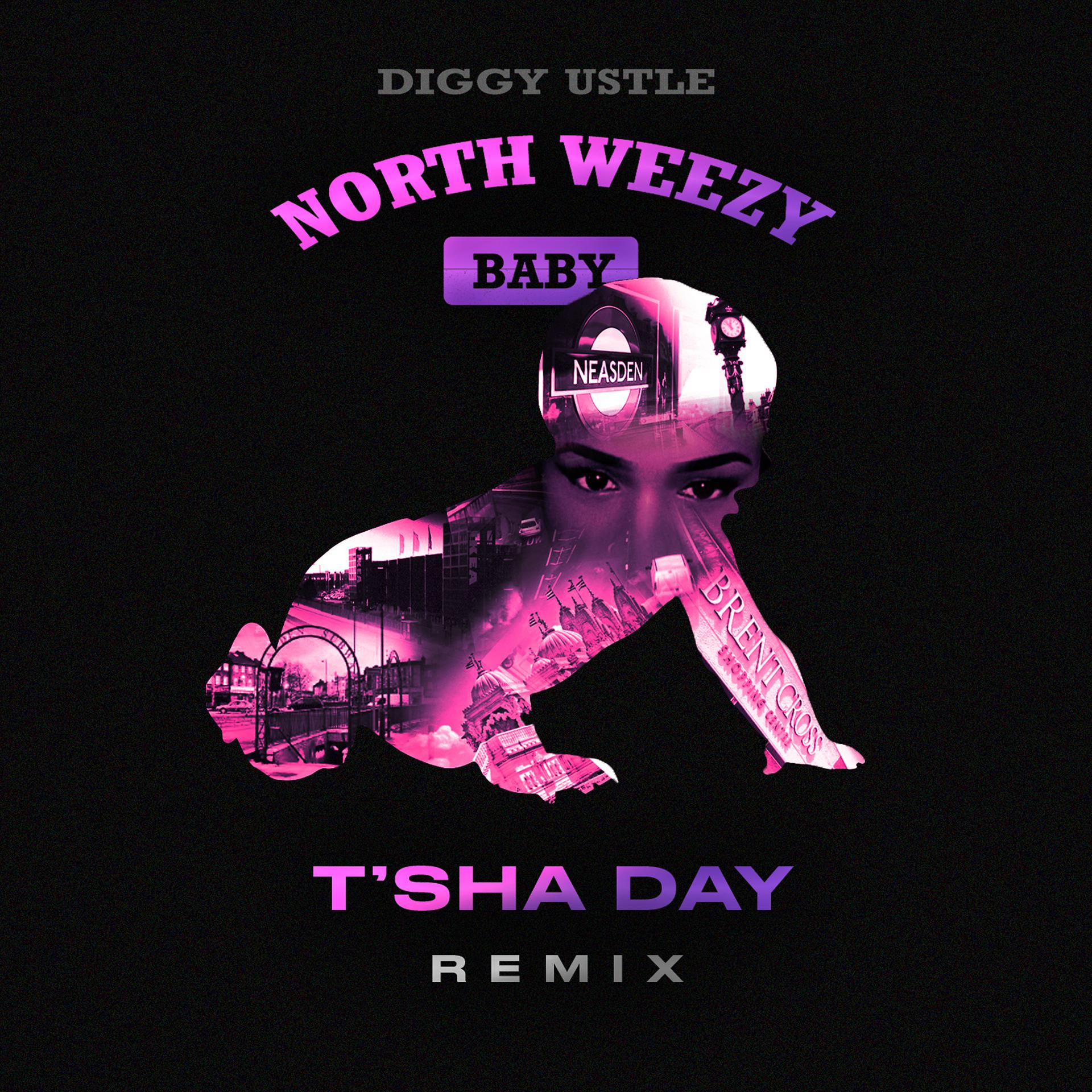 Постер альбома NorthWeezy Baby (T'SHA DAY Remix)