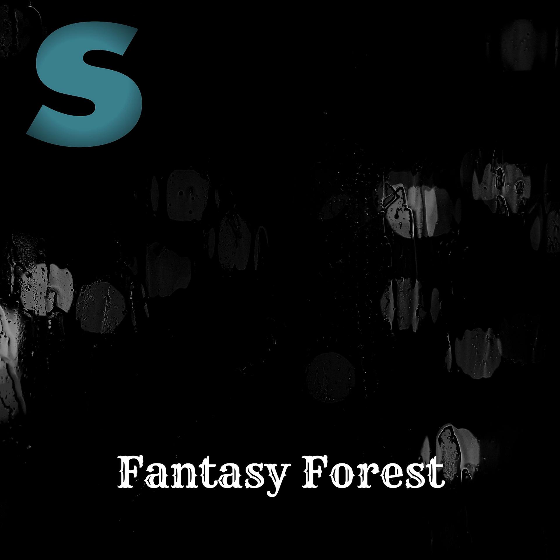 Постер альбома Fantasy Forest