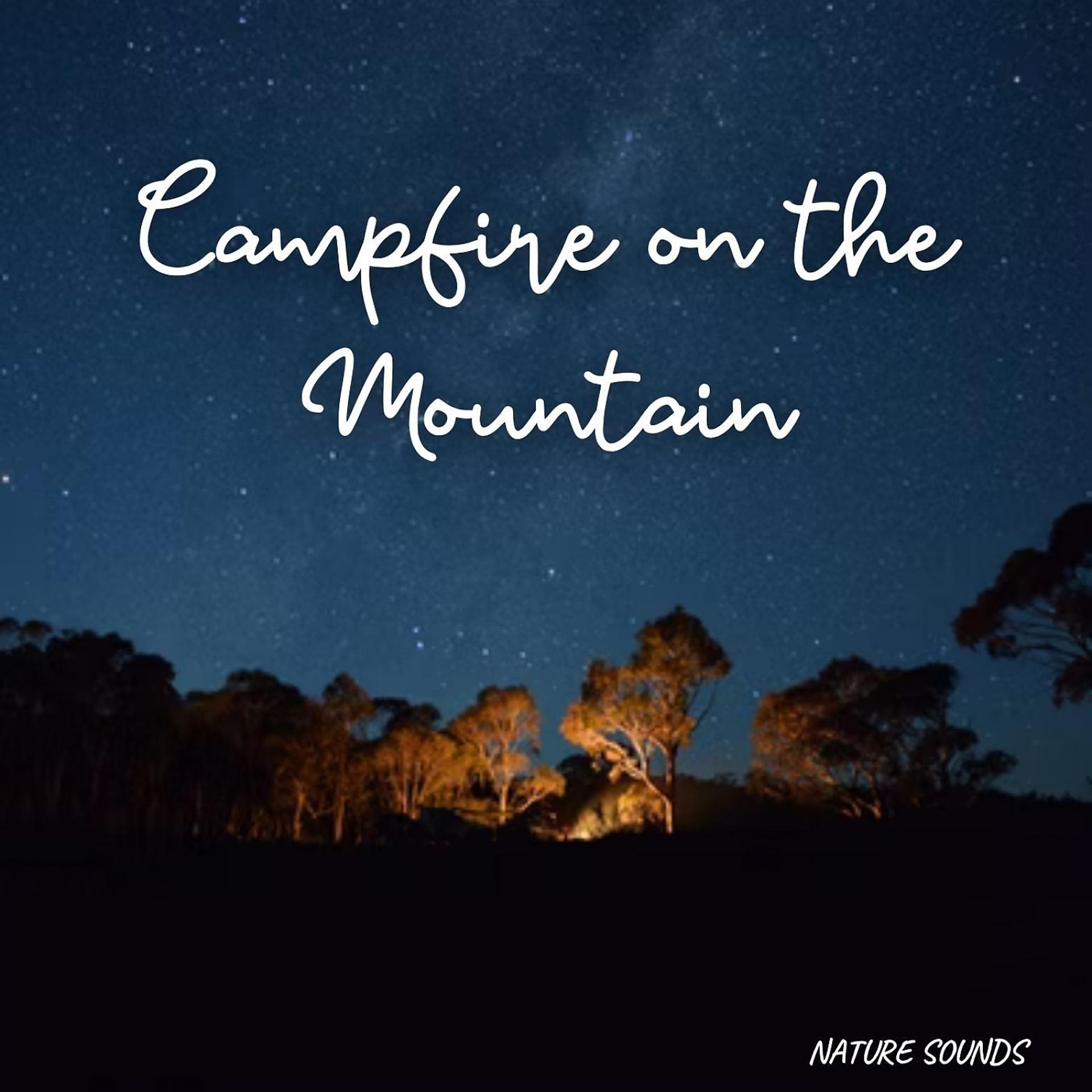 Постер альбома Nature Sounds: Campfire on the Mountain