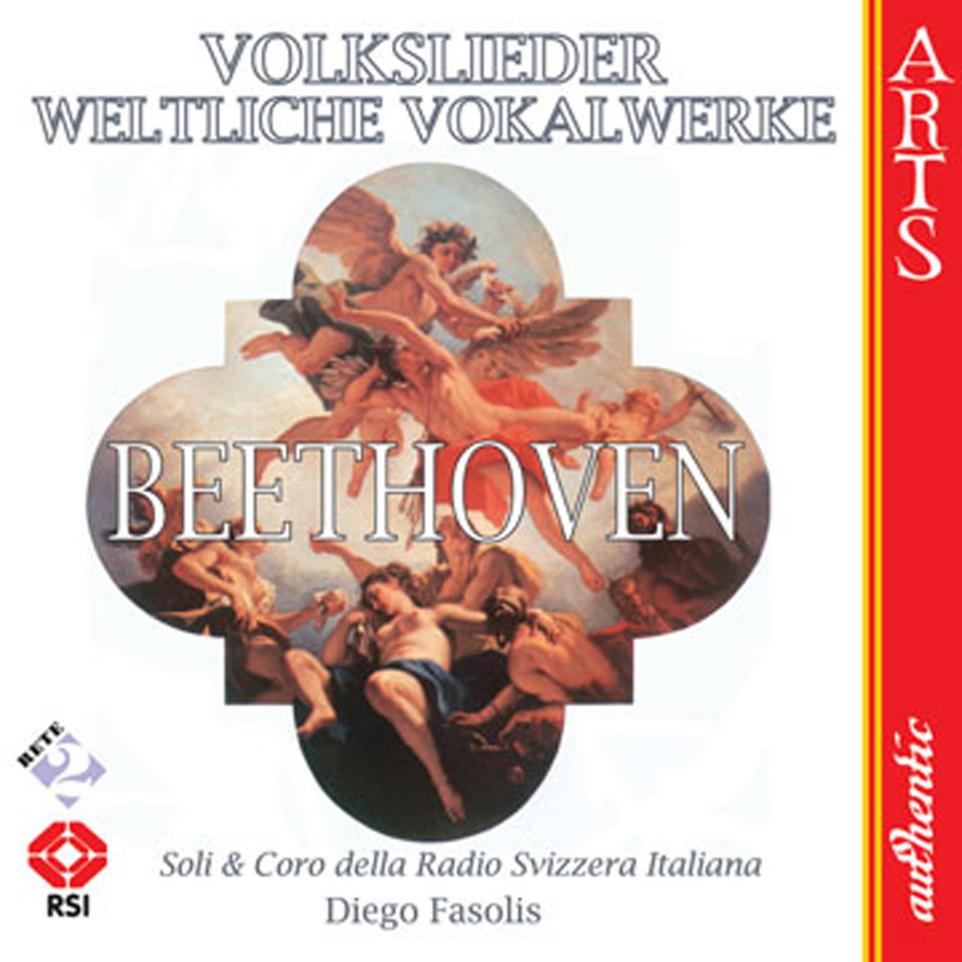 Постер альбома Volkslieder - Weltliche Vokalwerke